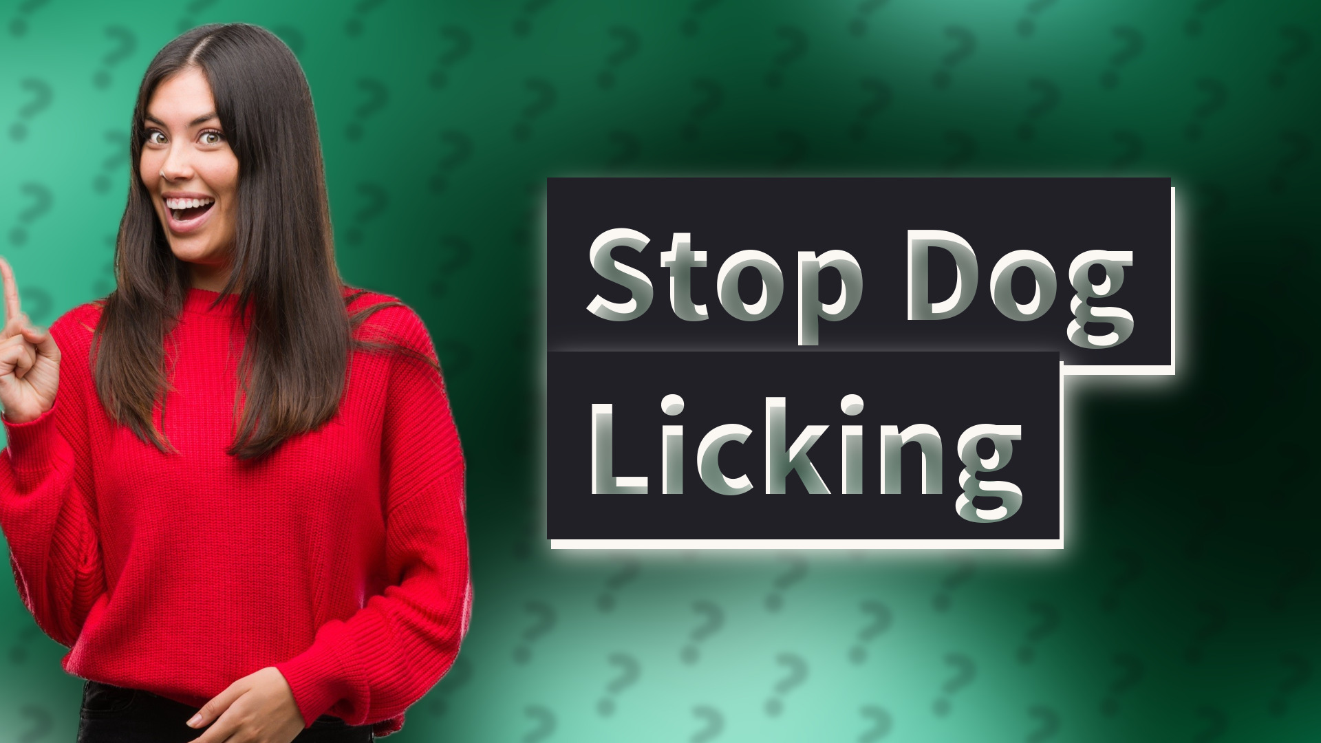 Stop Dog Licking