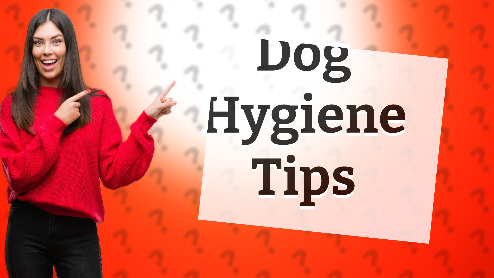 Dog Hygiene Tips