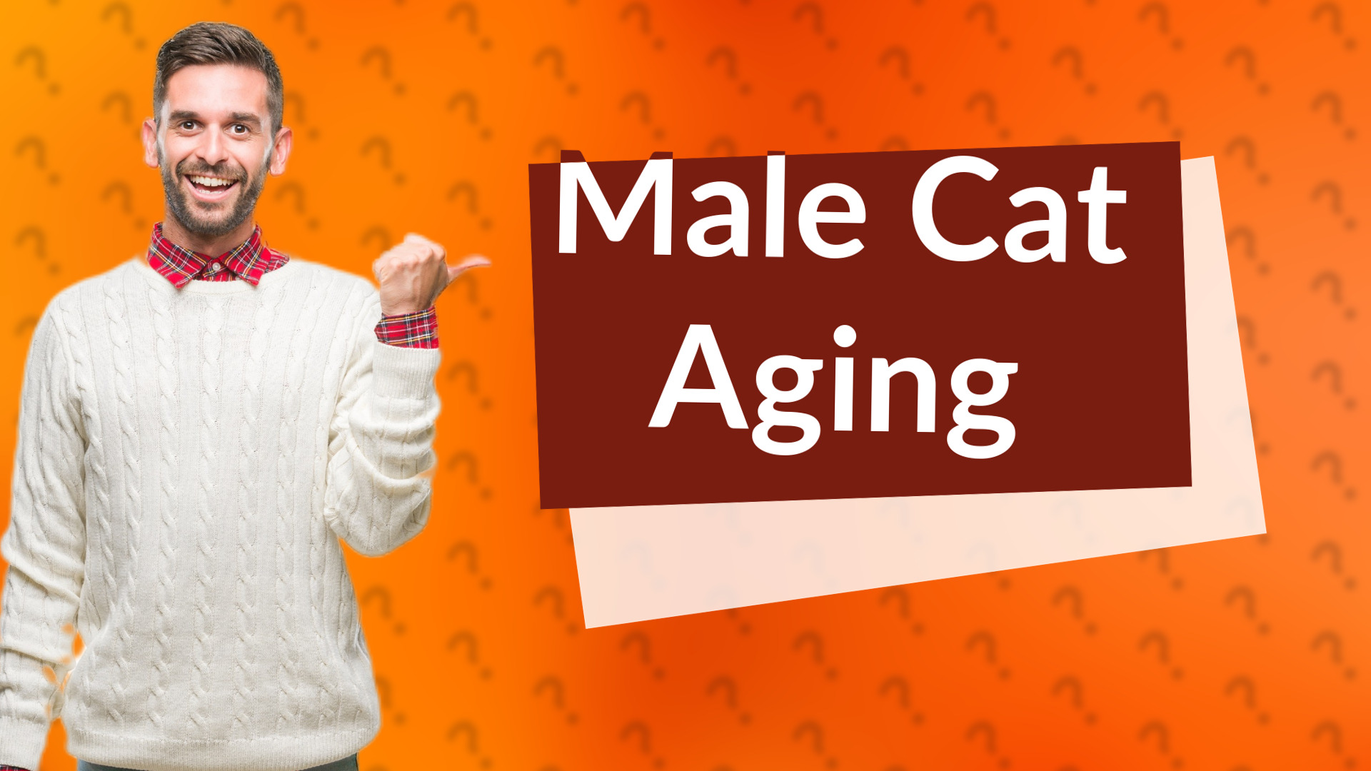 Male Cat Aging