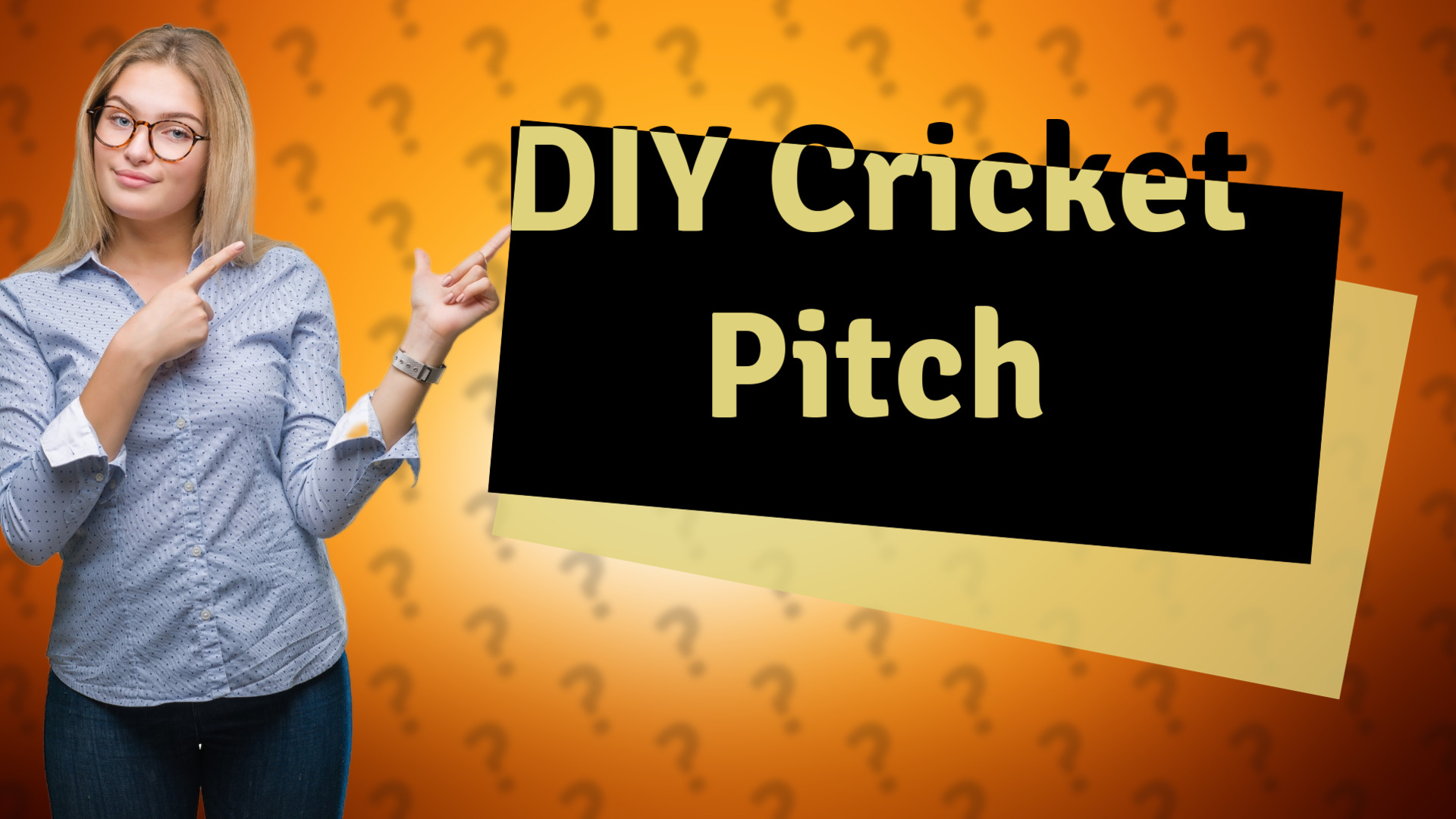 DIY Cricket Pitch