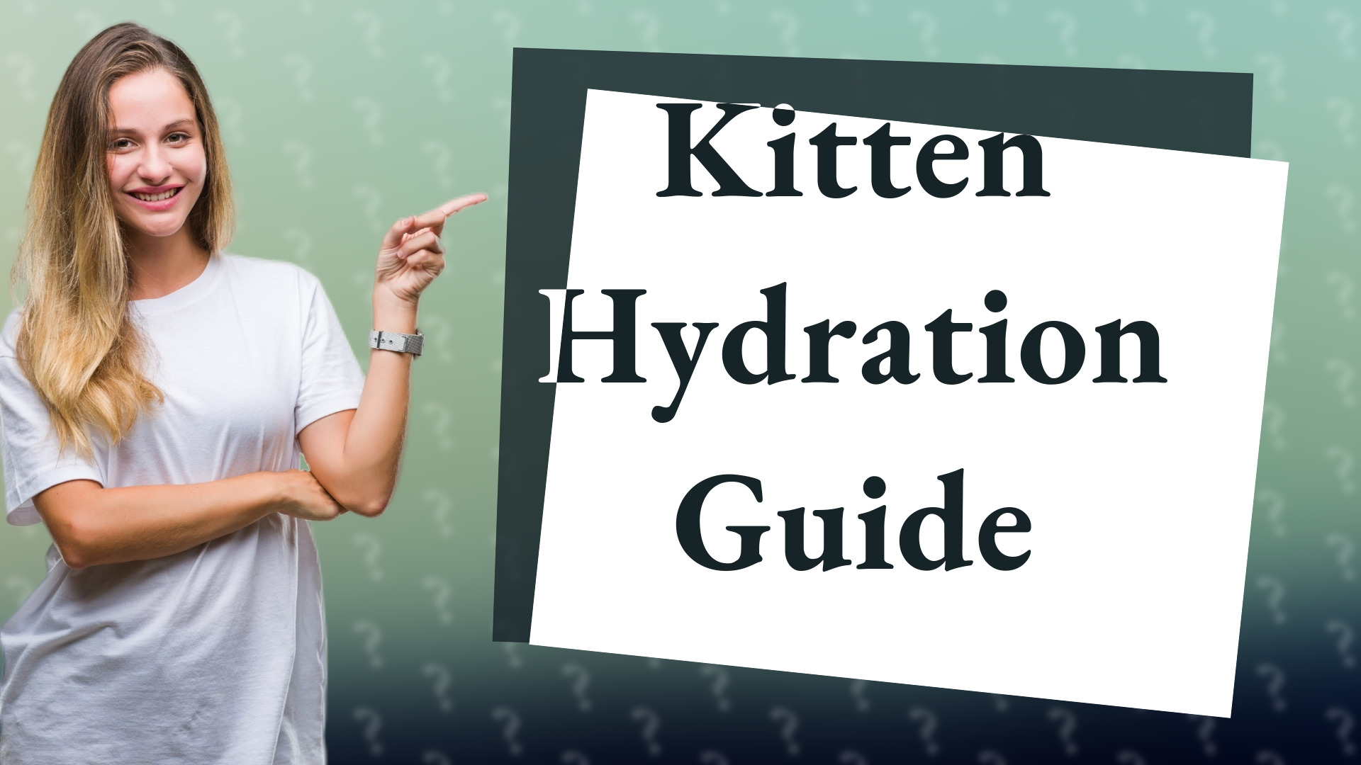 Kitten Hydration Guide