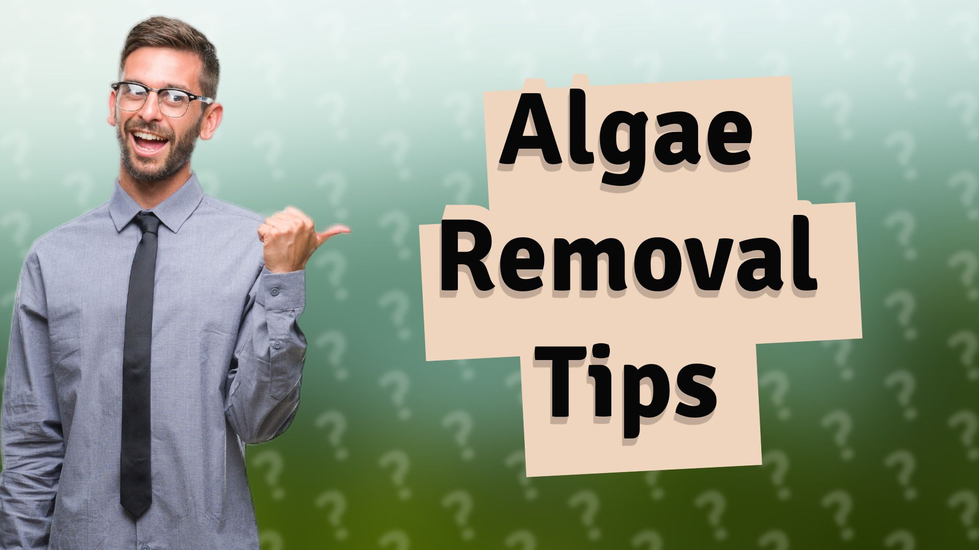 Algae Removal Tips