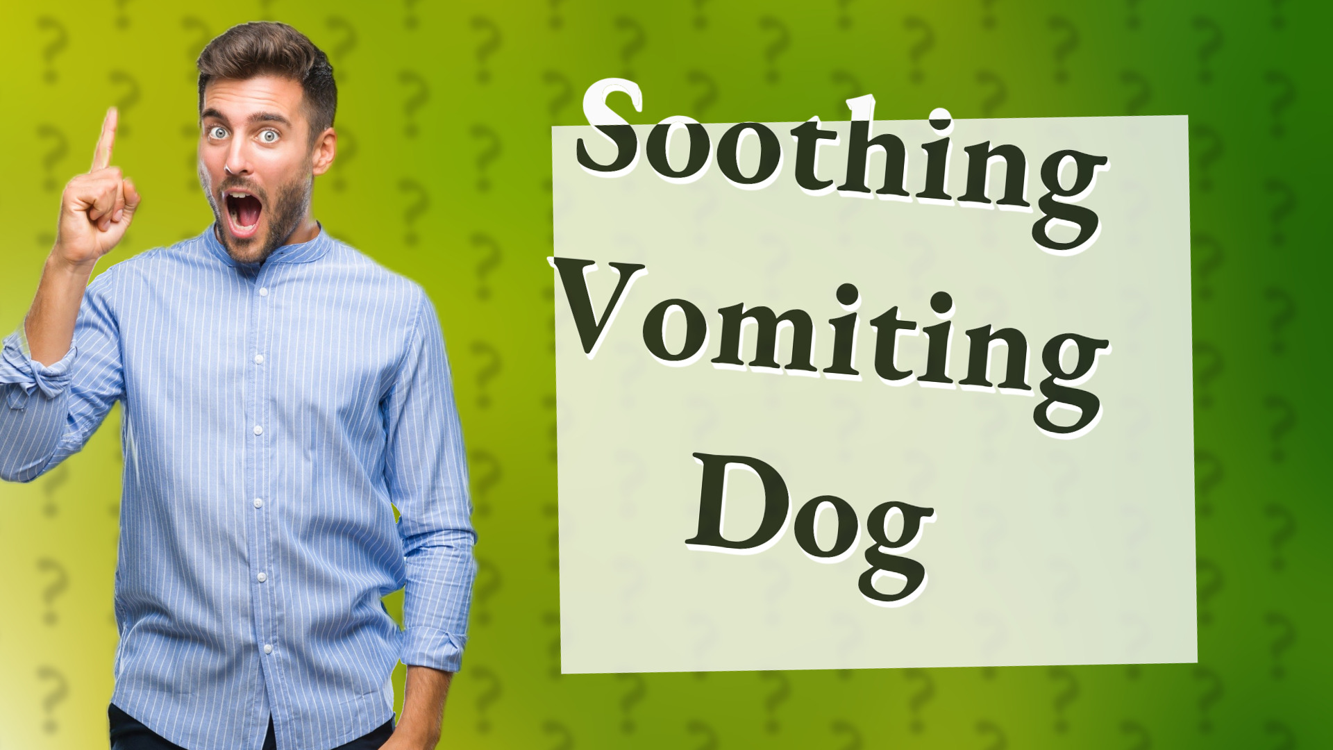 Soothing Vomiting Dog
