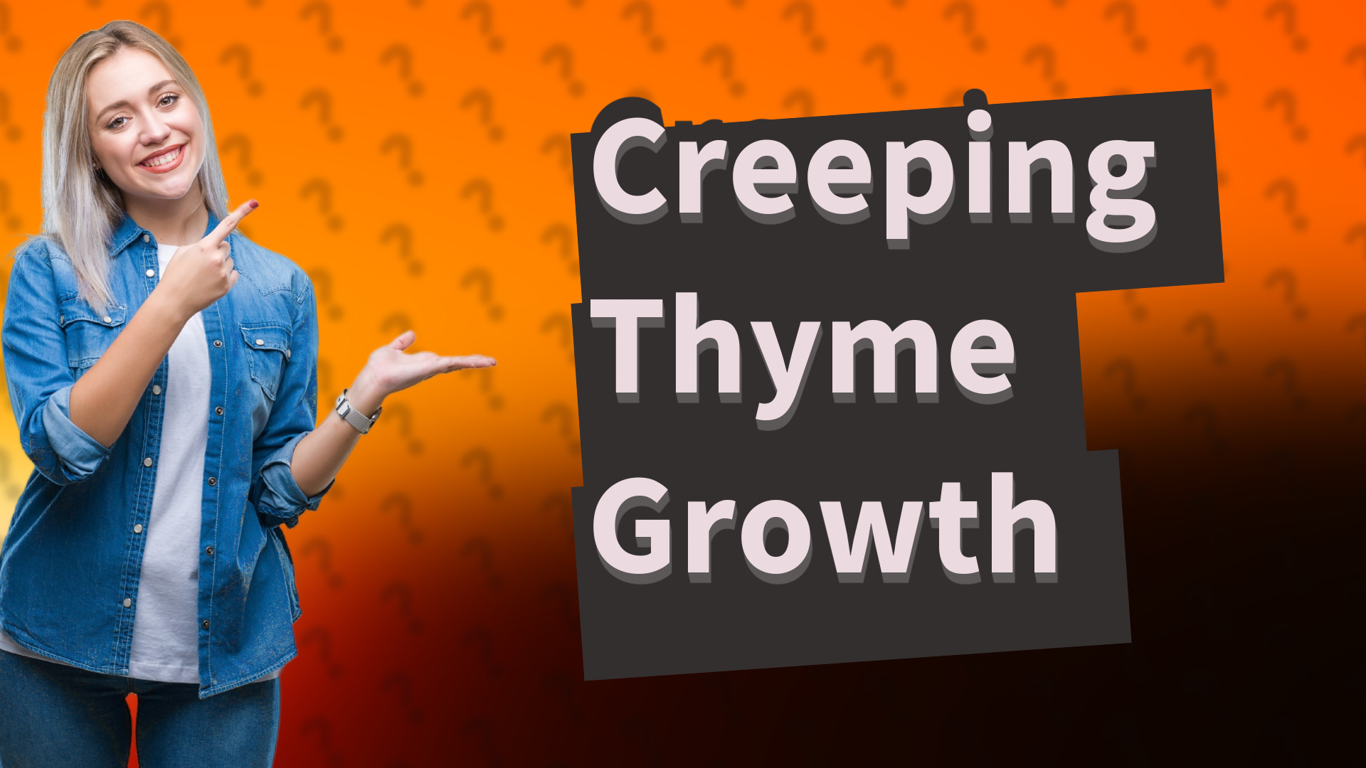 Creeping Thyme Growth