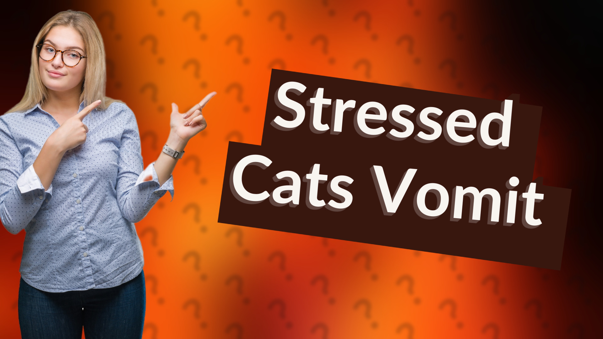 Stressed Cats Vomit