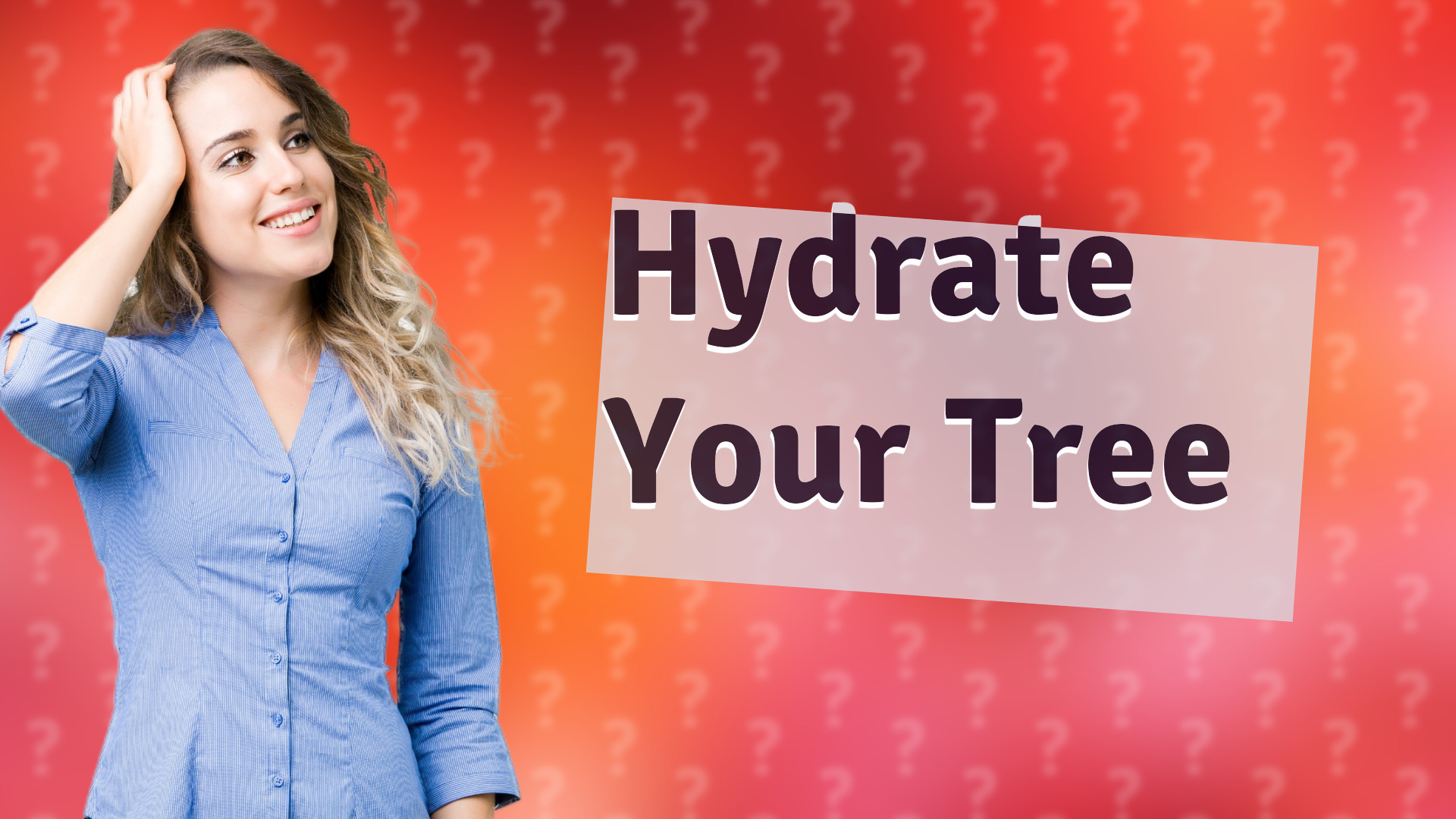 Hydrate Your Tree