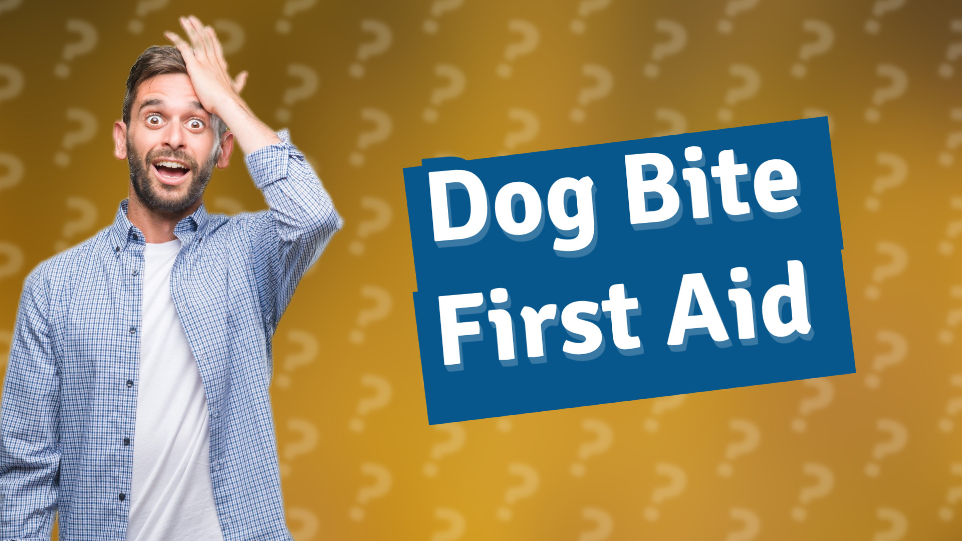 Dog Bite First Aid