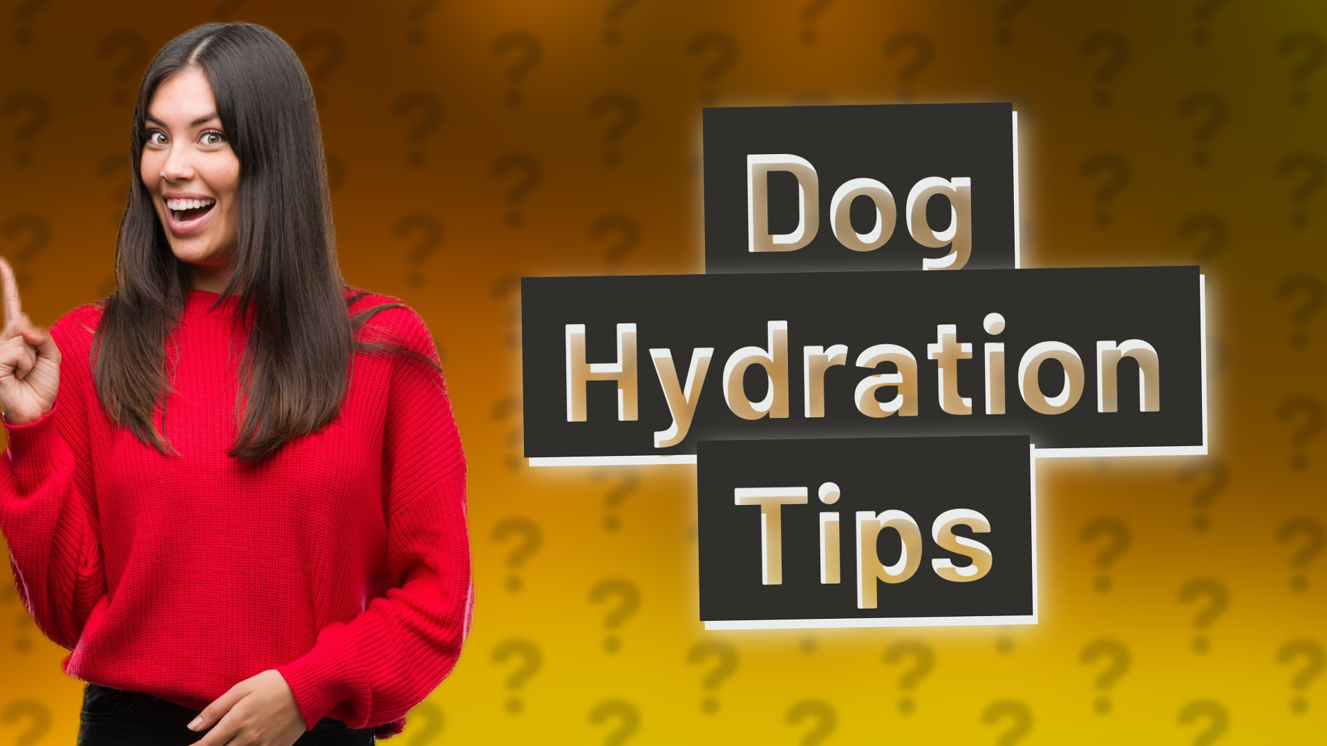 Dog Hydration Tips
