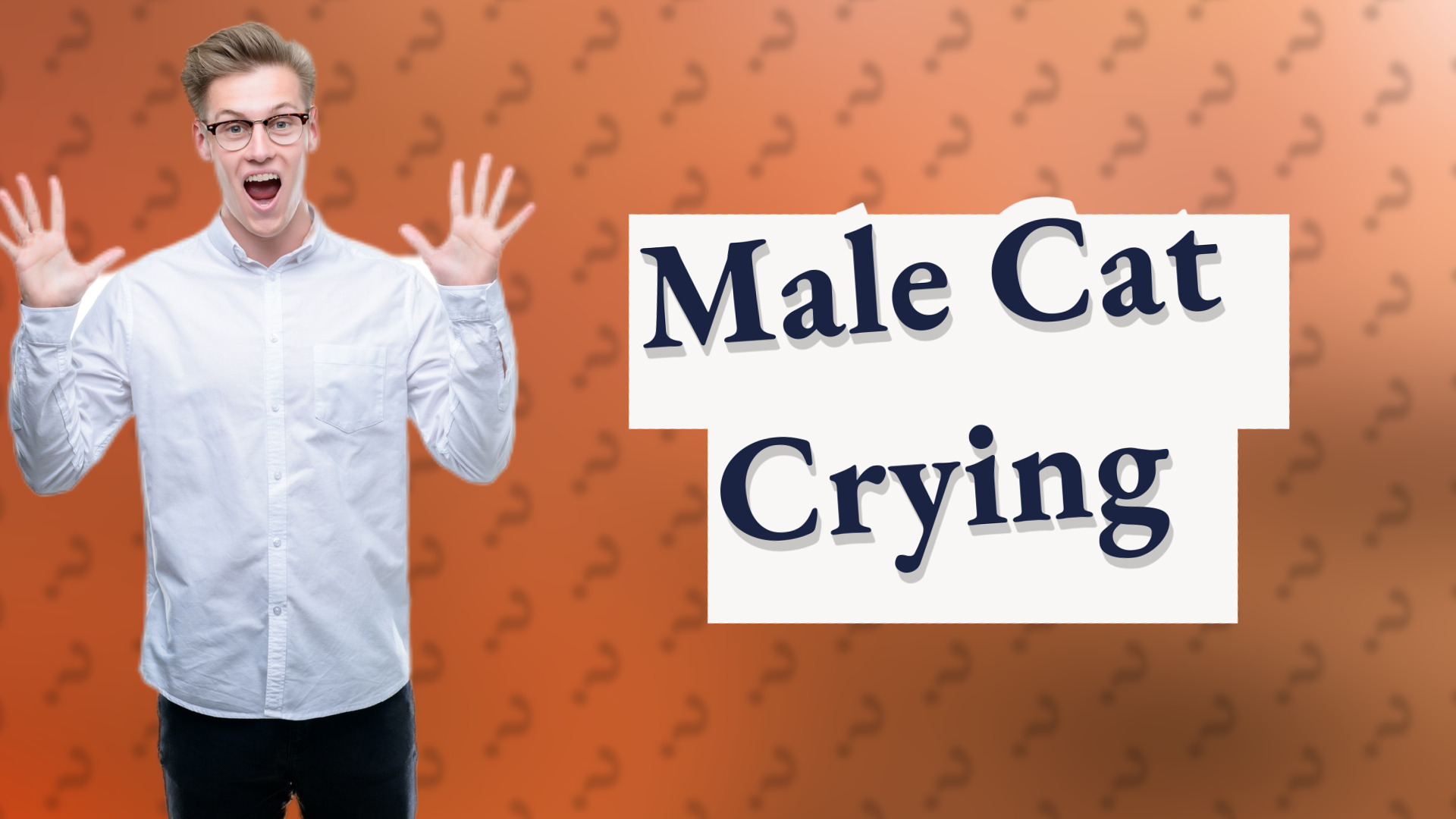 Male Cat Crying