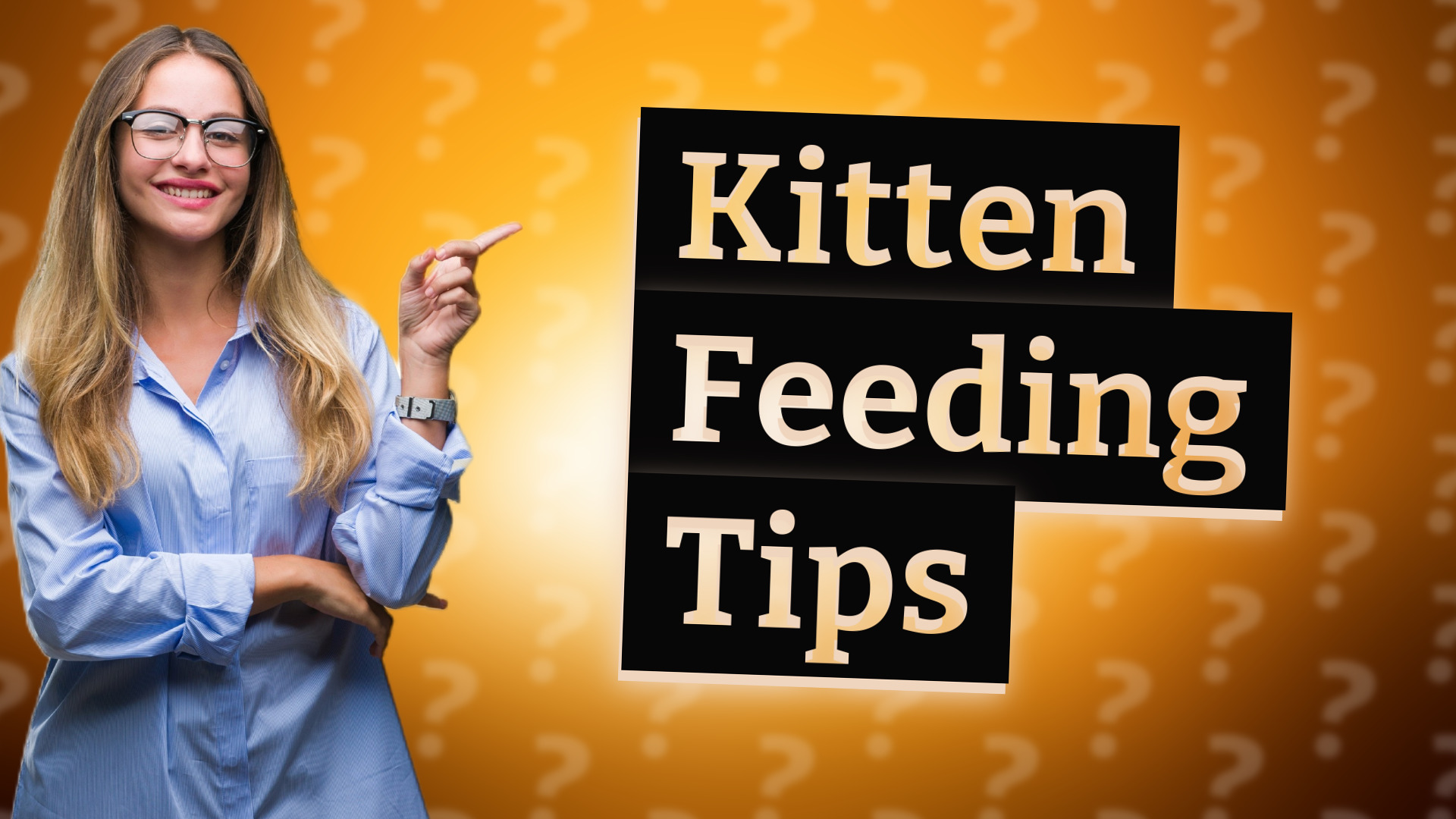 Kitten Feeding Tips