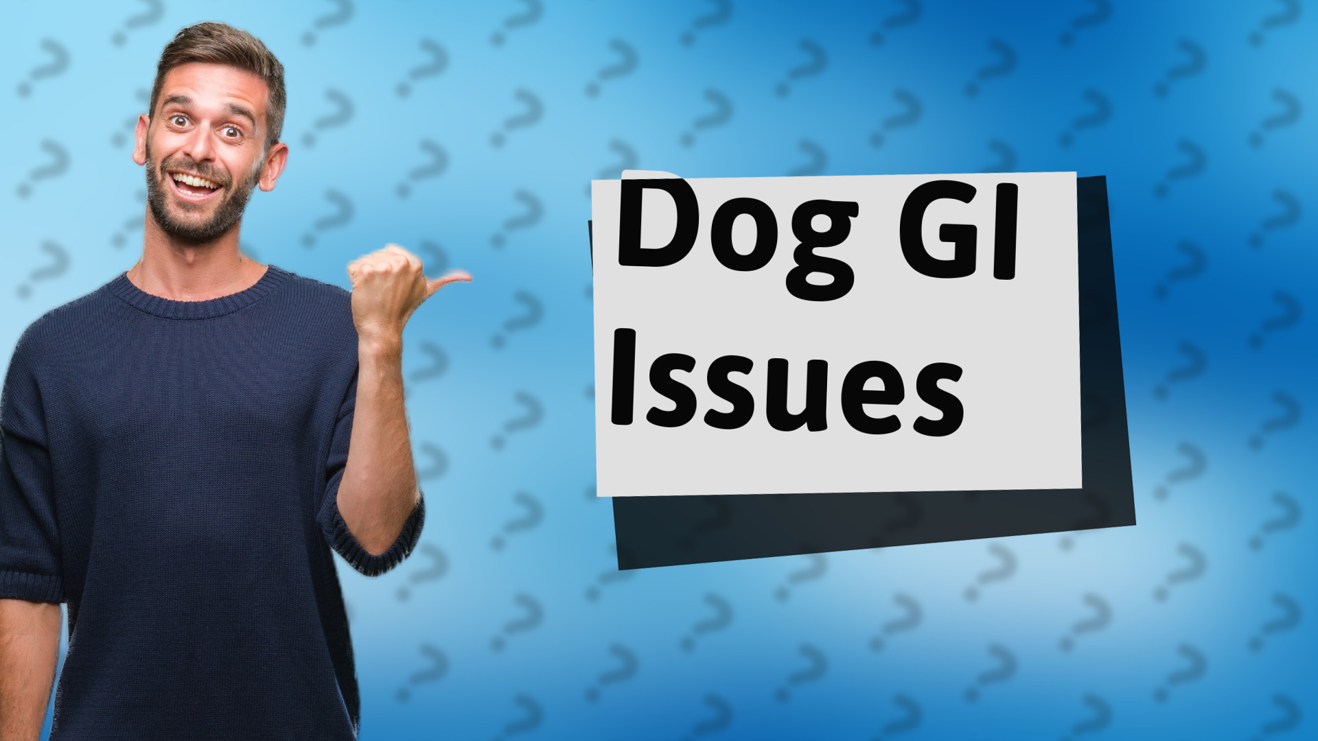 Dog GI Issues