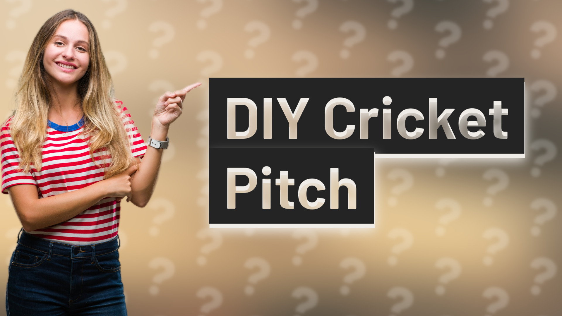 DIY Cricket Pitch