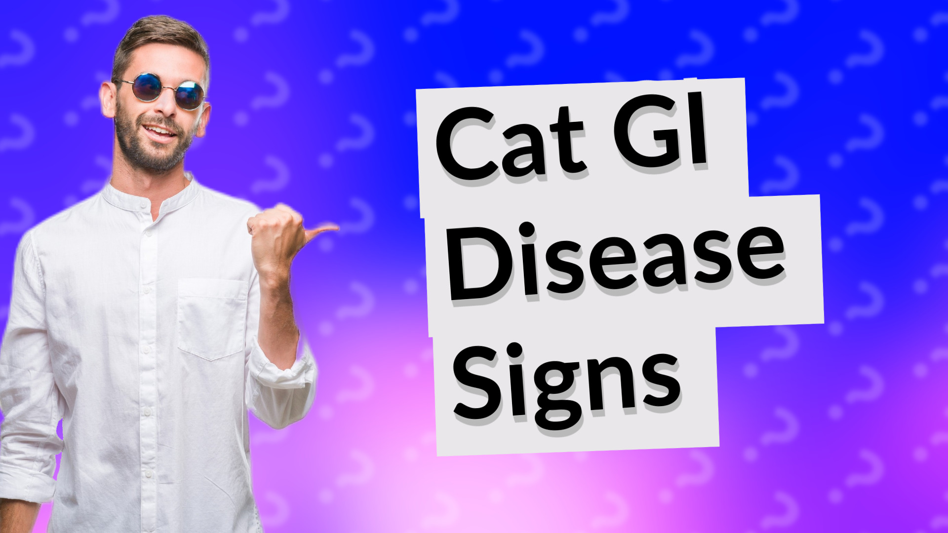 Cat GI Disease Signs