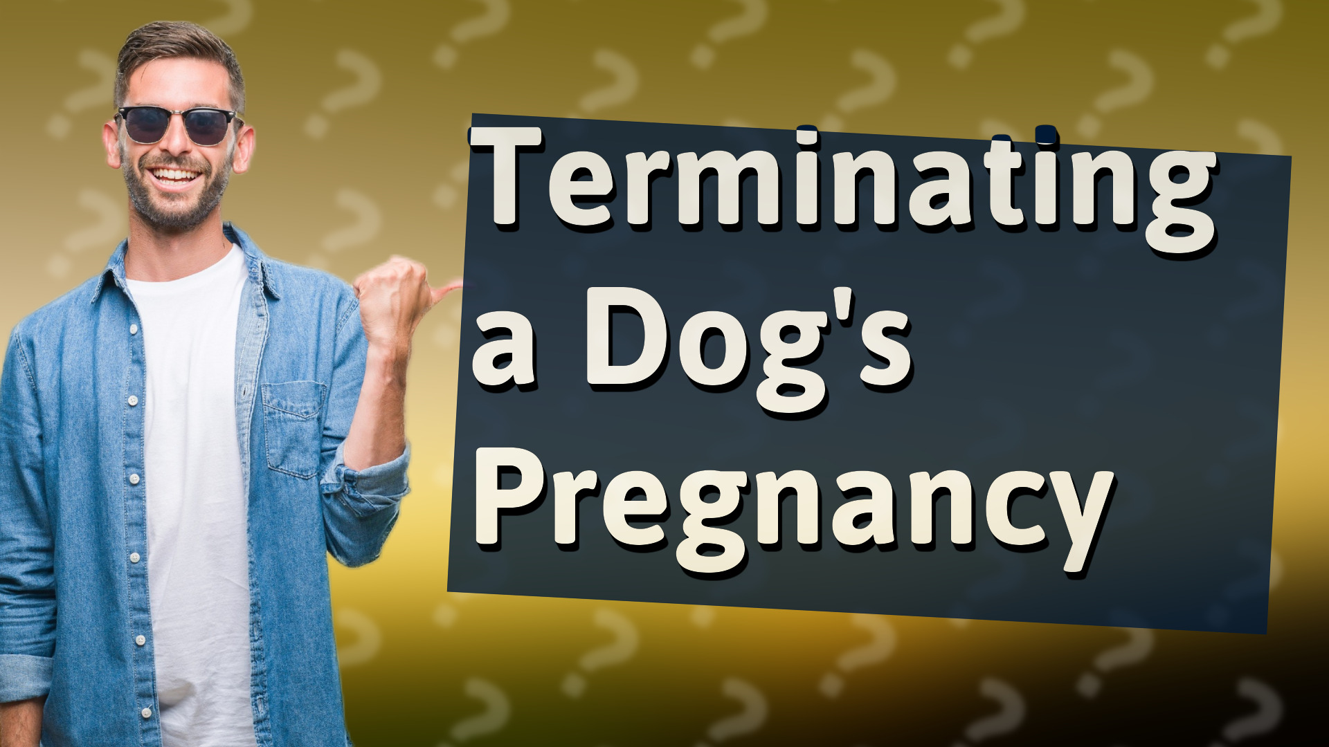 Terminating a Dog's Pregnancy