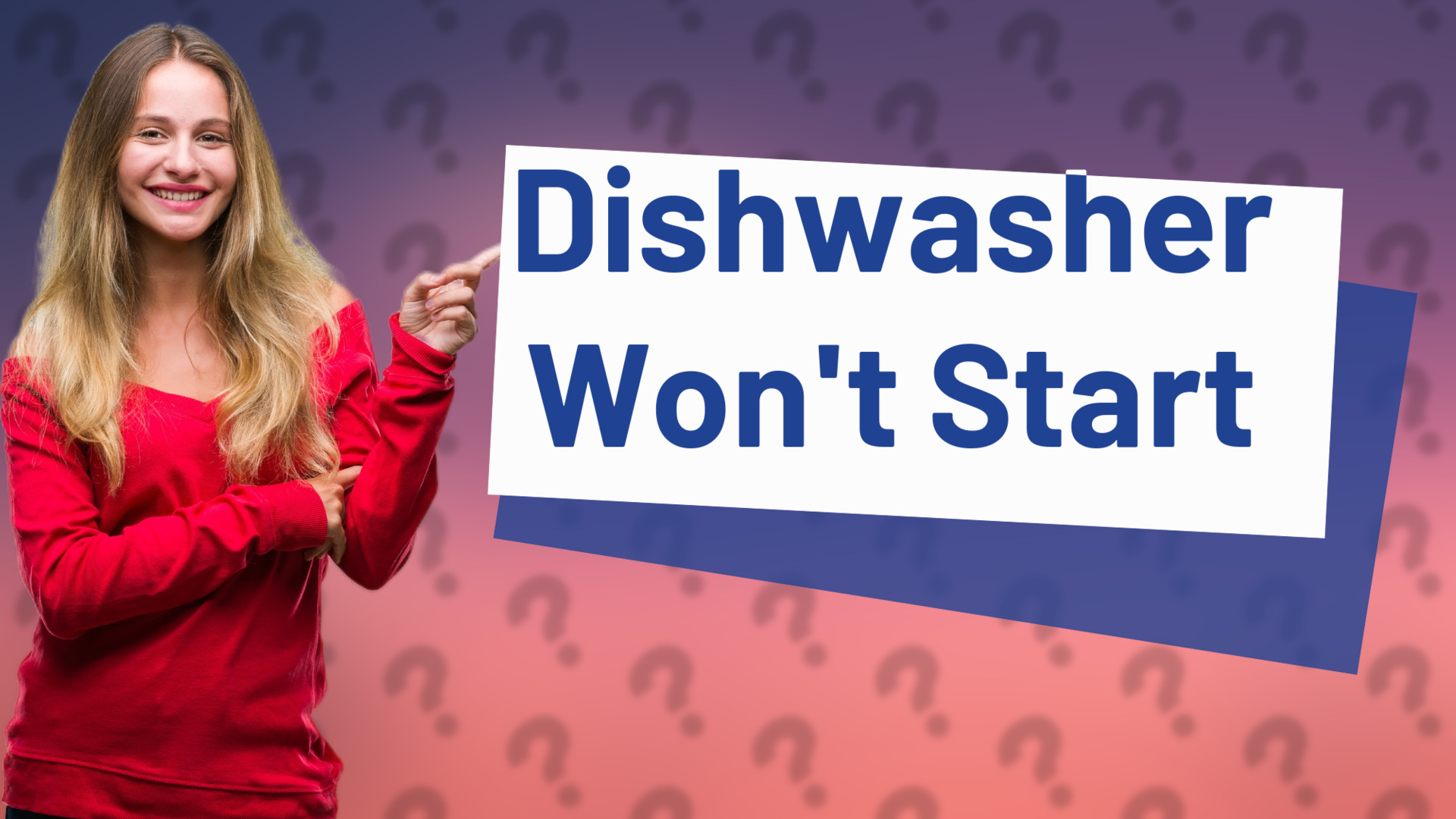 Dishwasher Won't Start