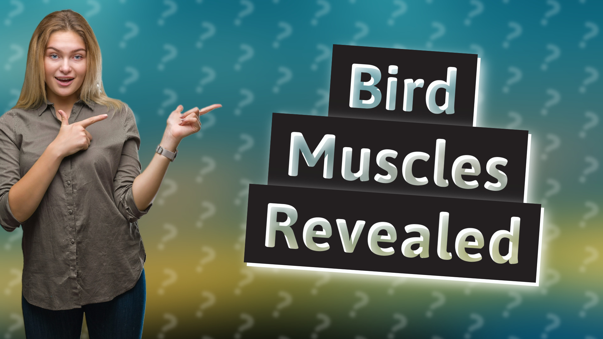 Bird Muscles Revealed