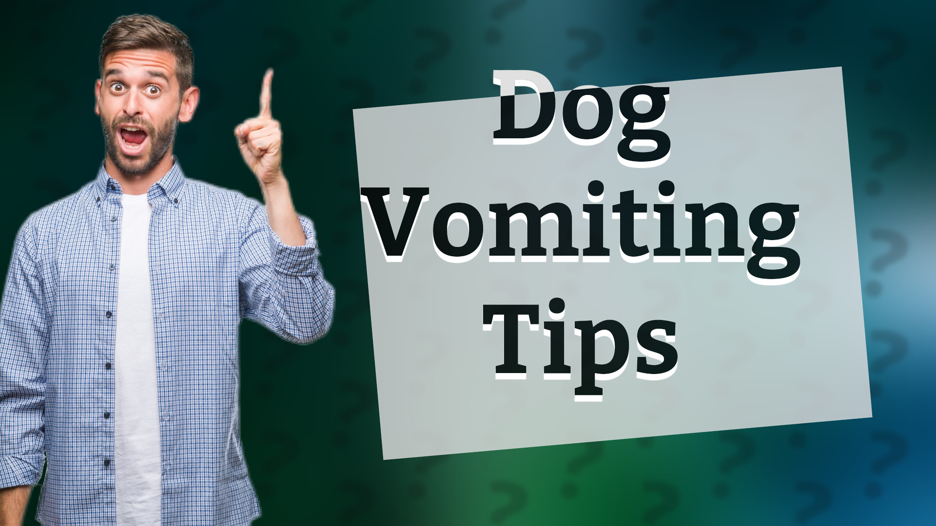 Dog Vomiting Tips