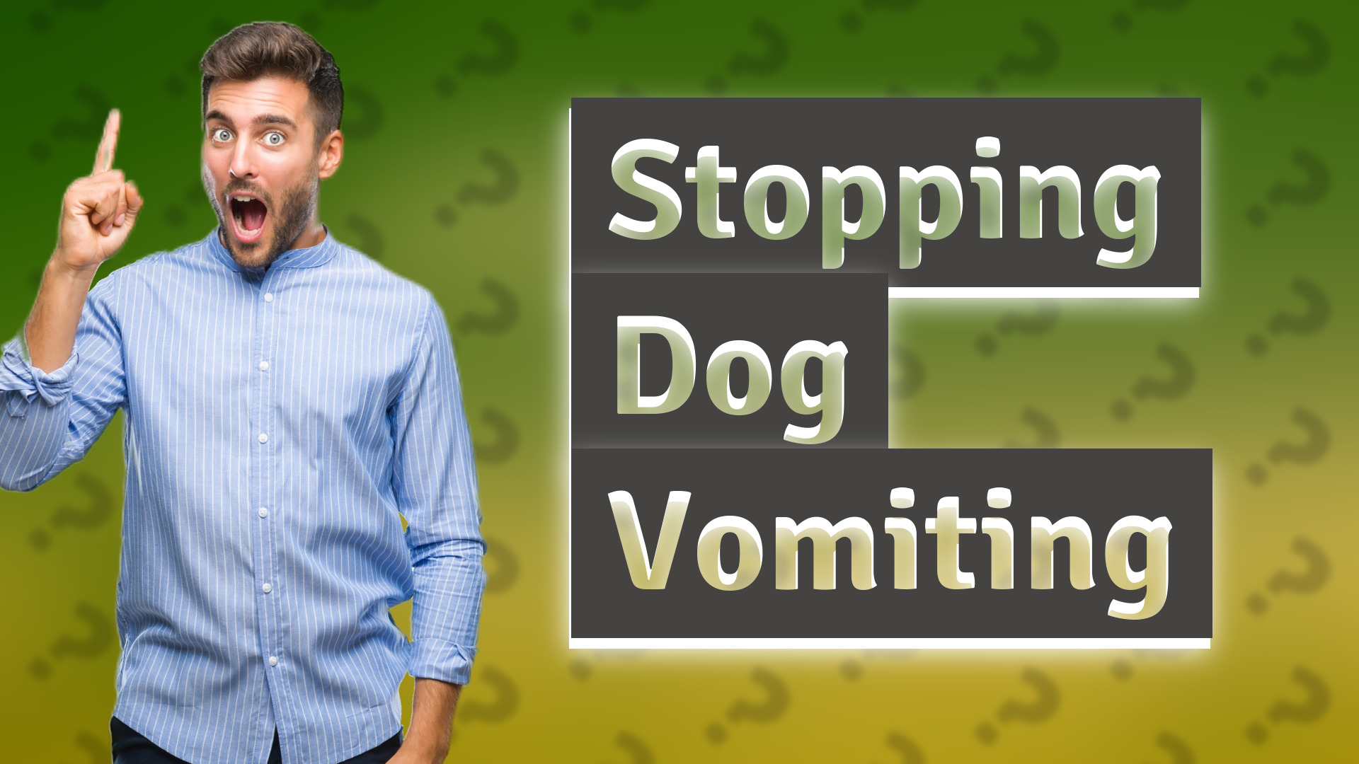 Stopping Dog Vomiting