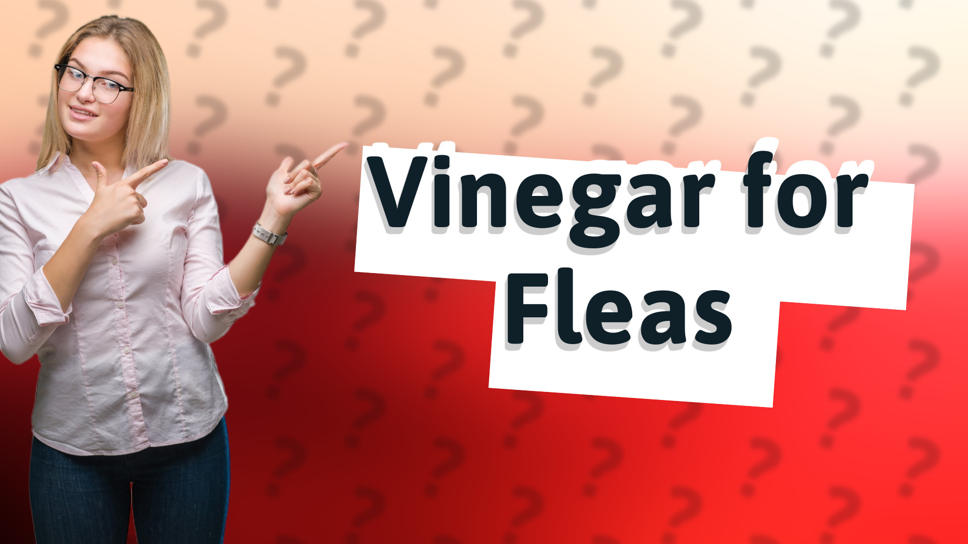 Vinegar for Fleas