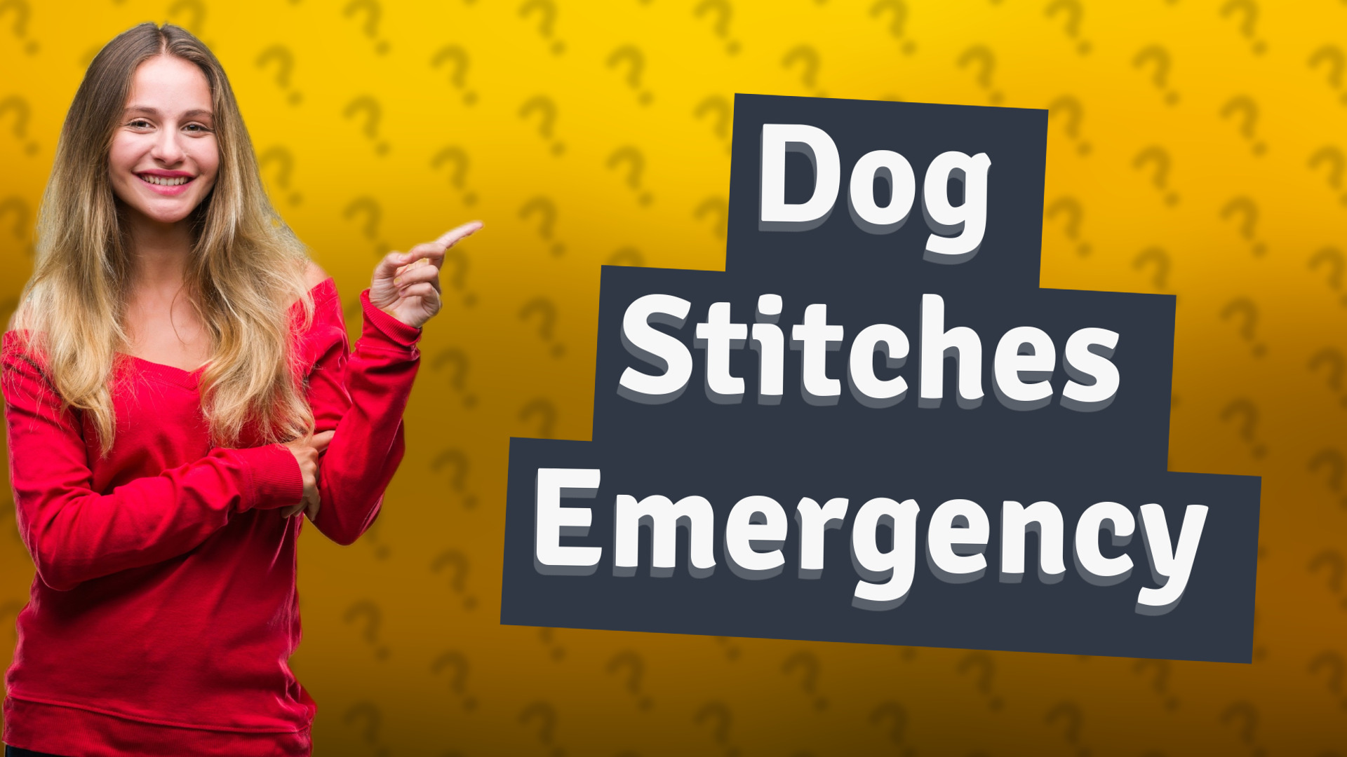 Dog Stitches Emergency