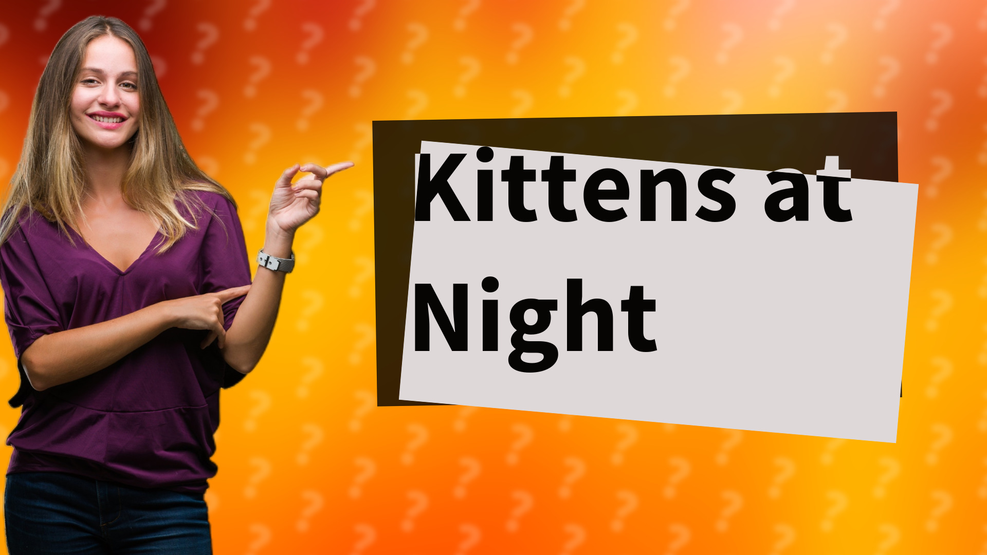 Kittens at Night