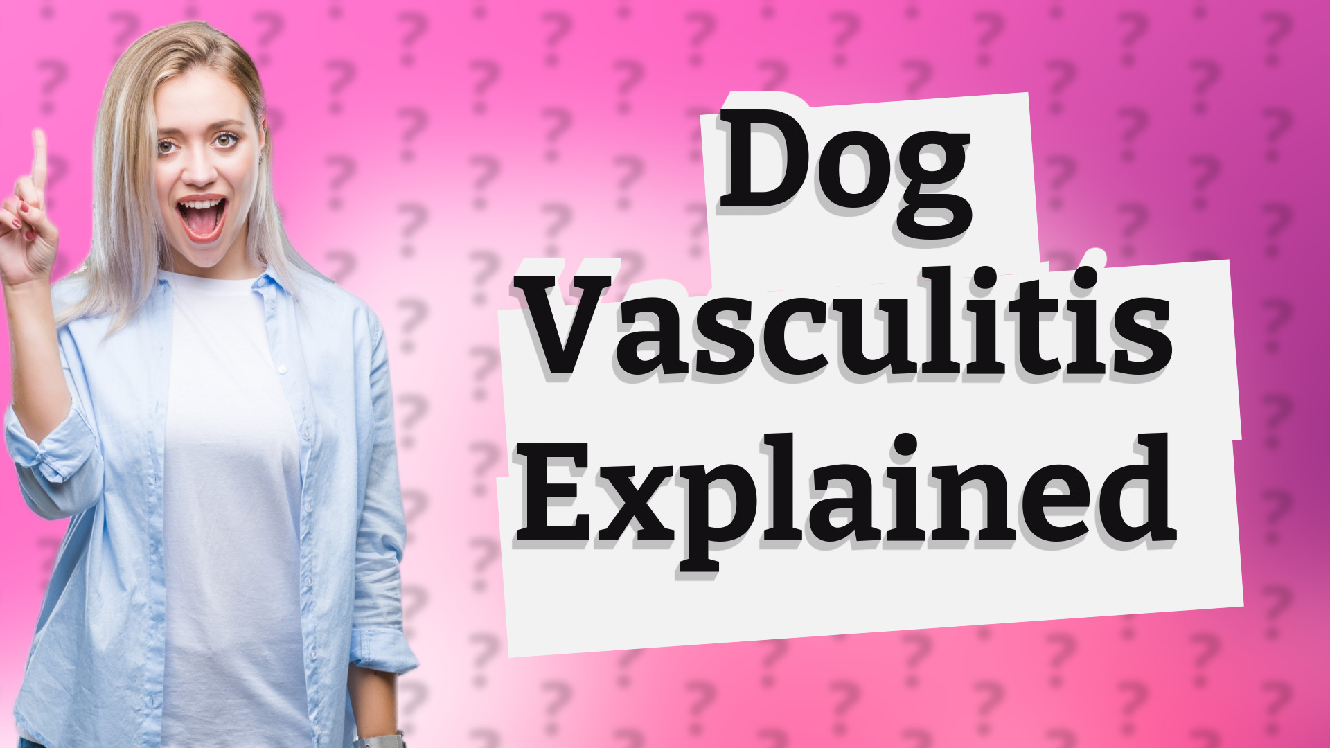 Dog Vasculitis Explained