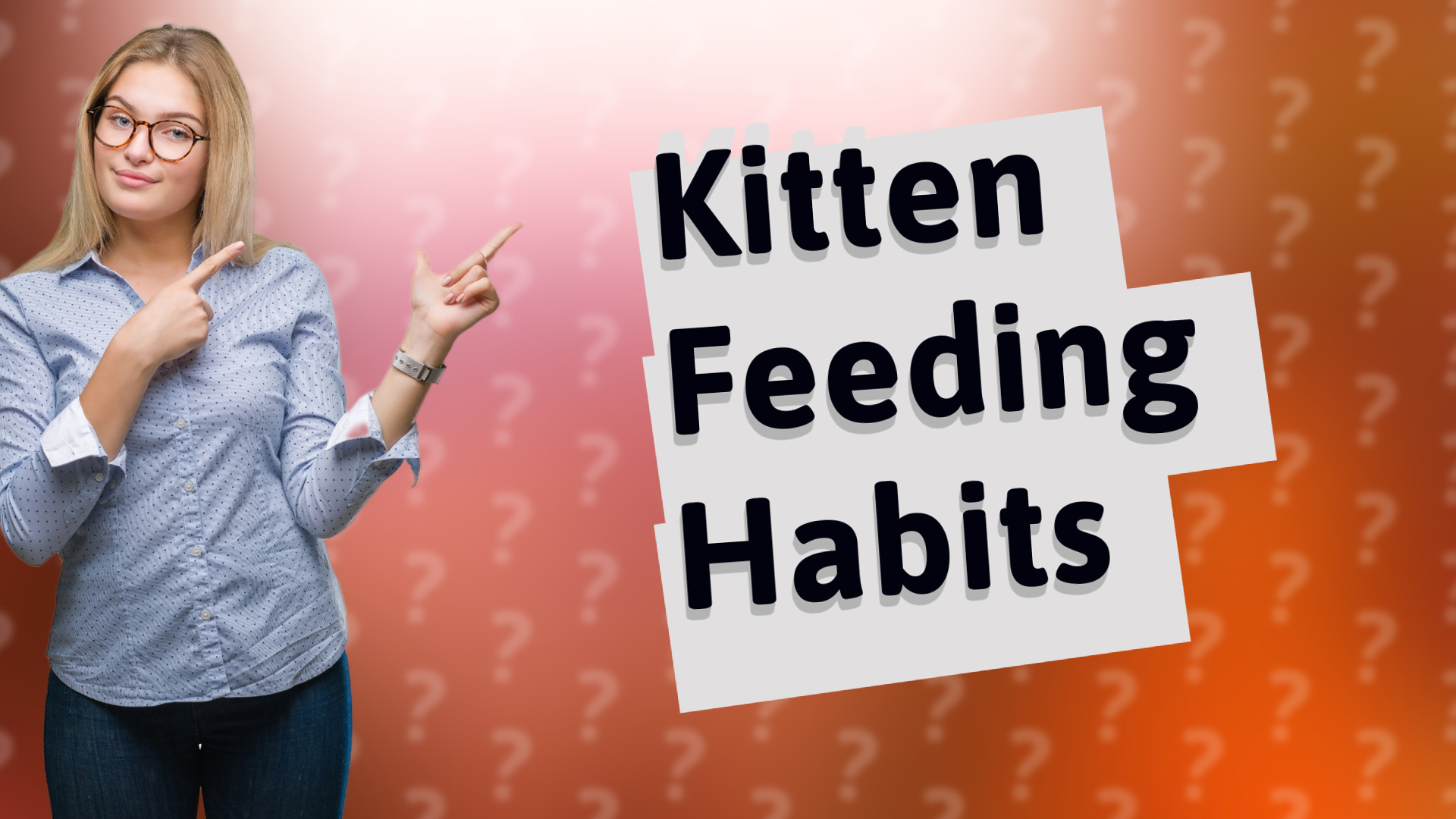 Kitten Feeding Habits