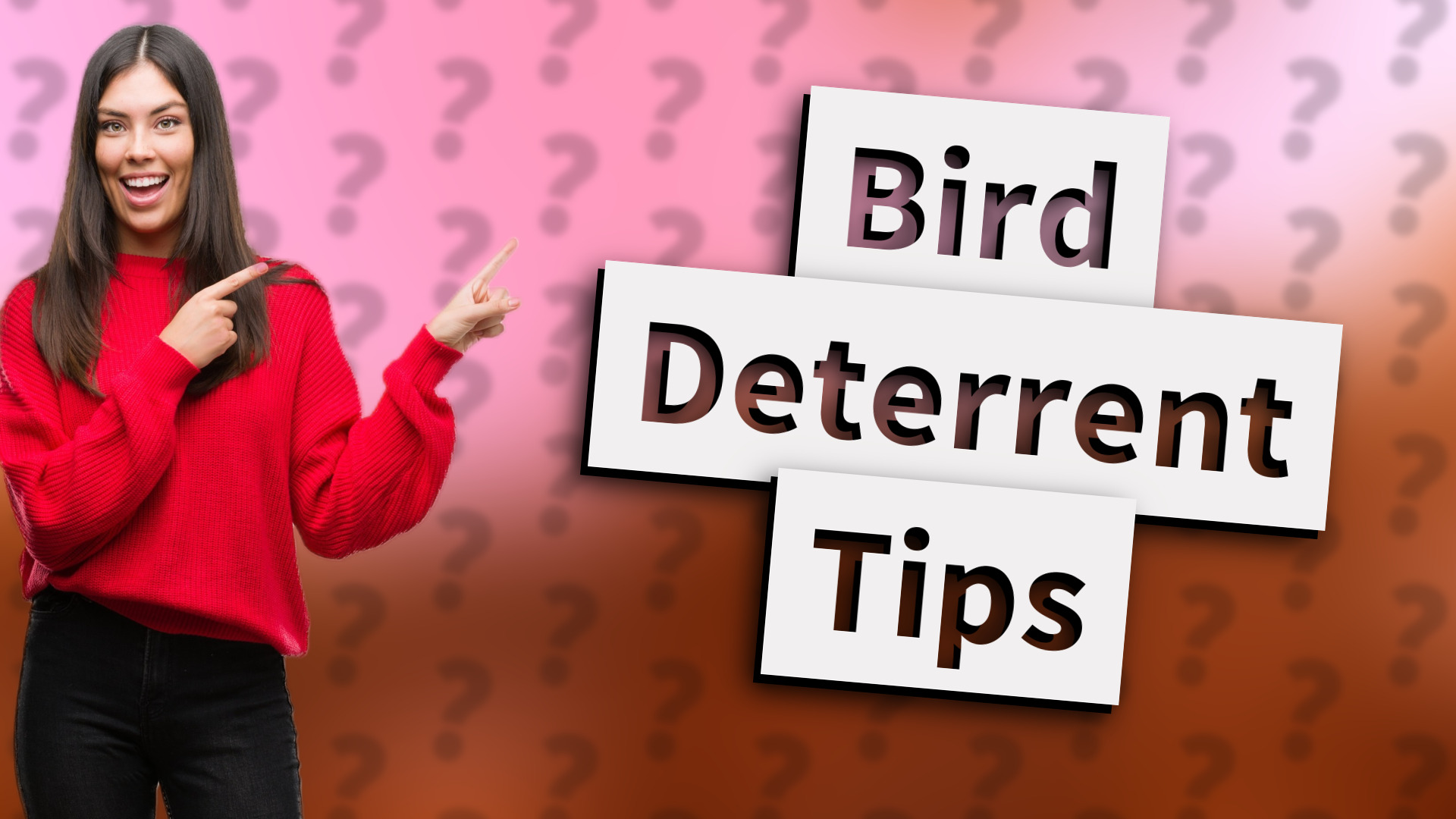 Bird Deterrent Tips