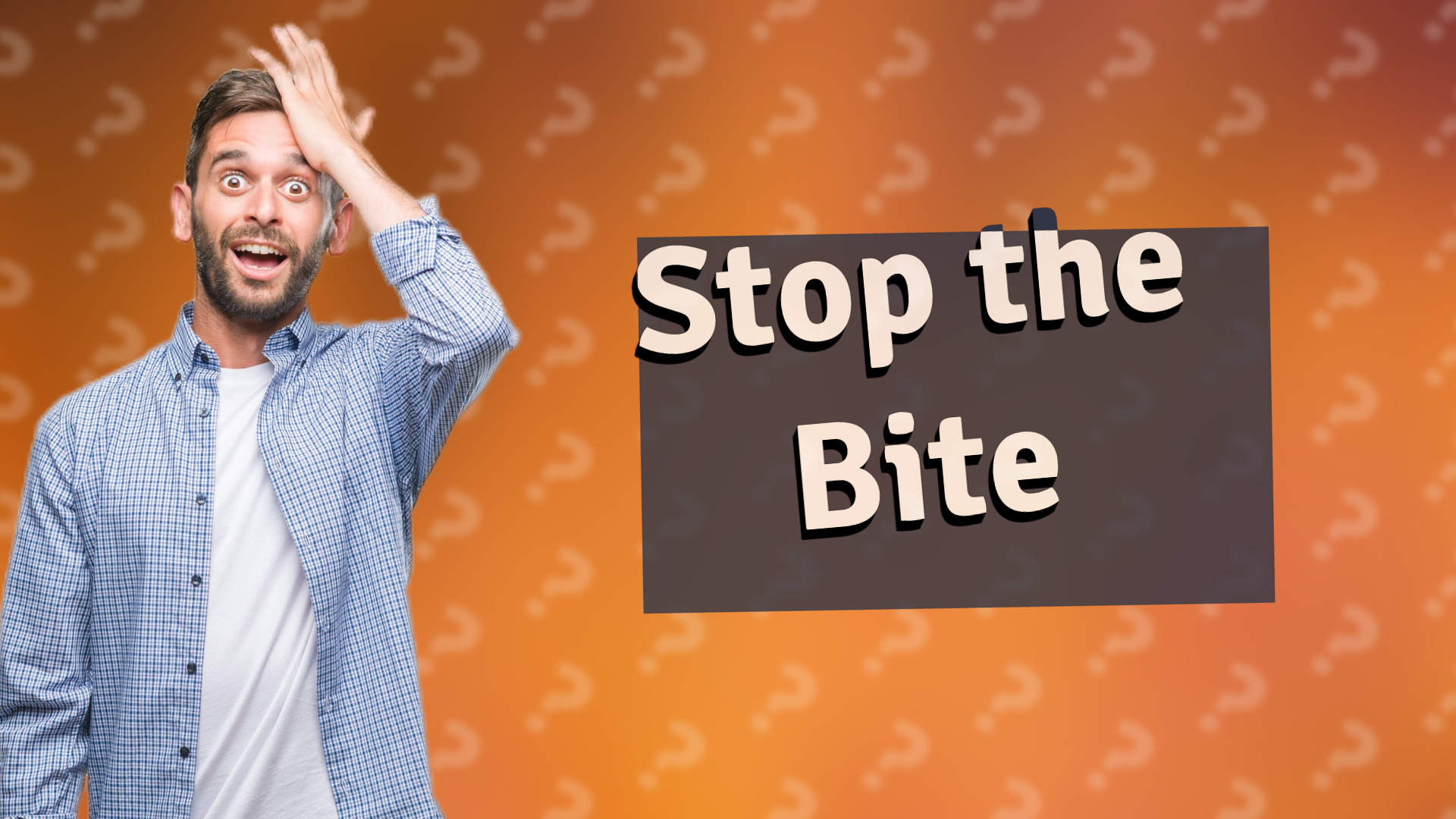 Stop the Bite