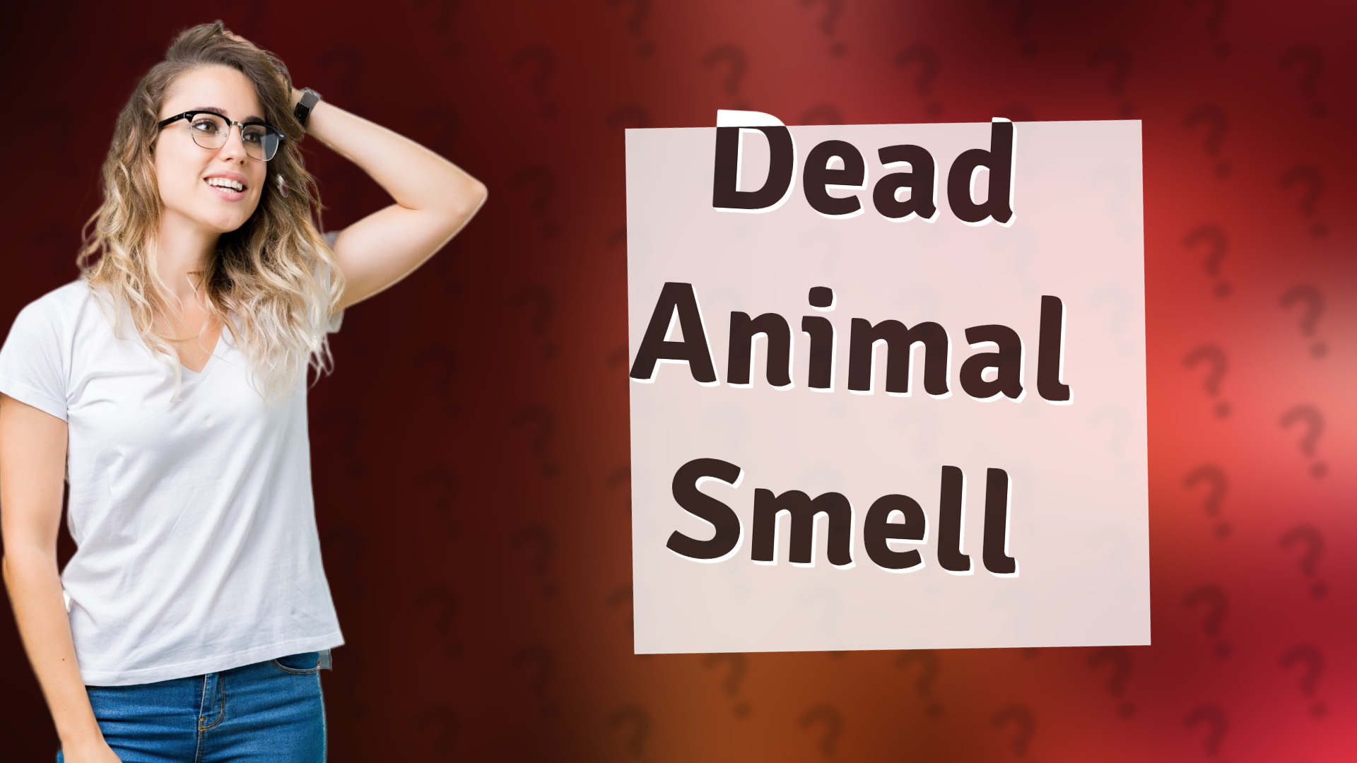 Dead Animal Smell