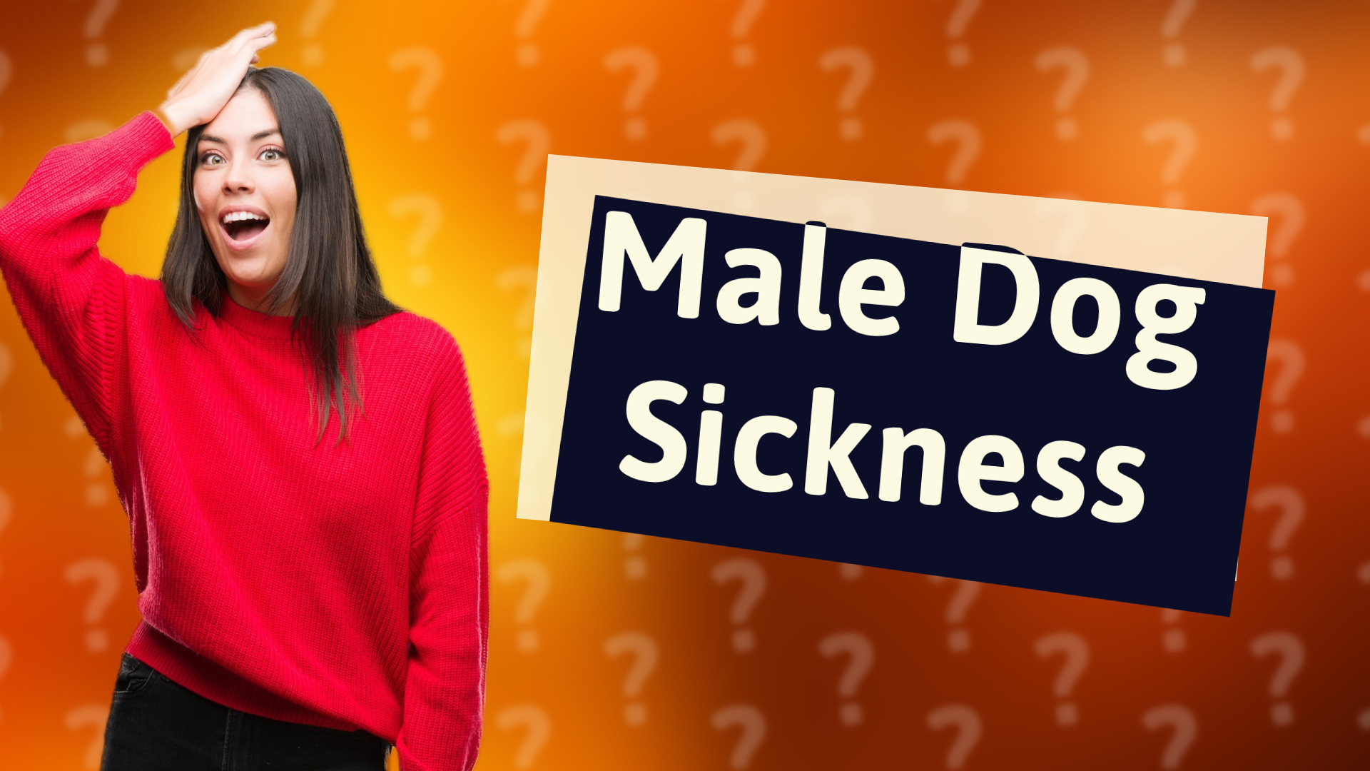 Male Dog Sickness