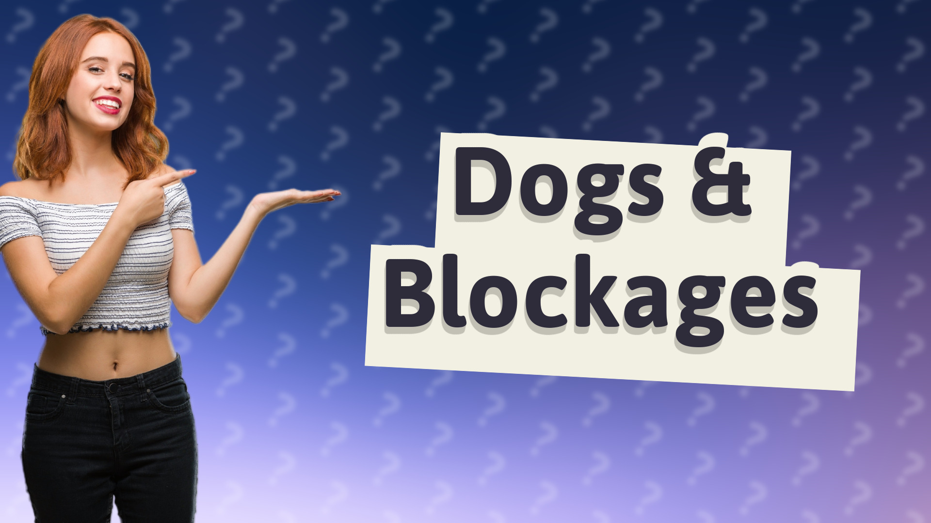 Dogs & Blockages