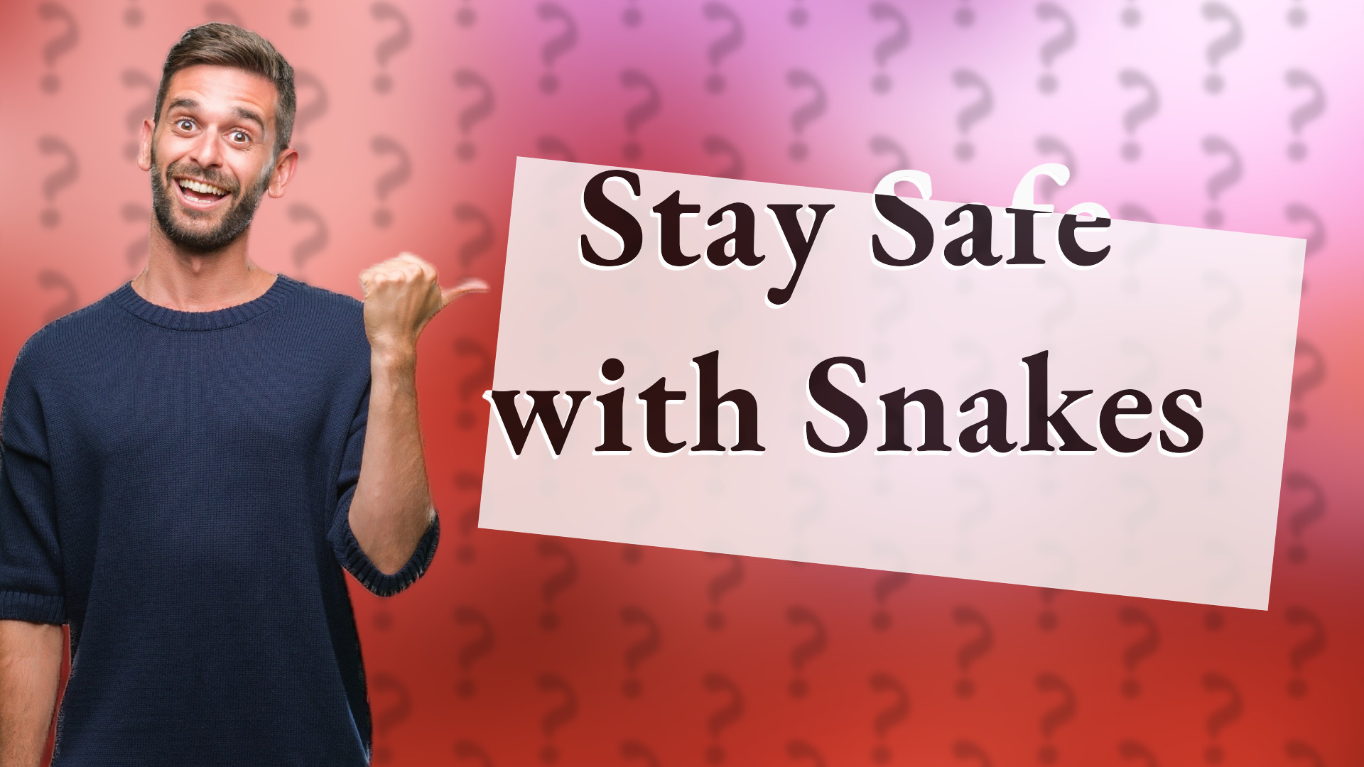 Stay Safe with Snakes