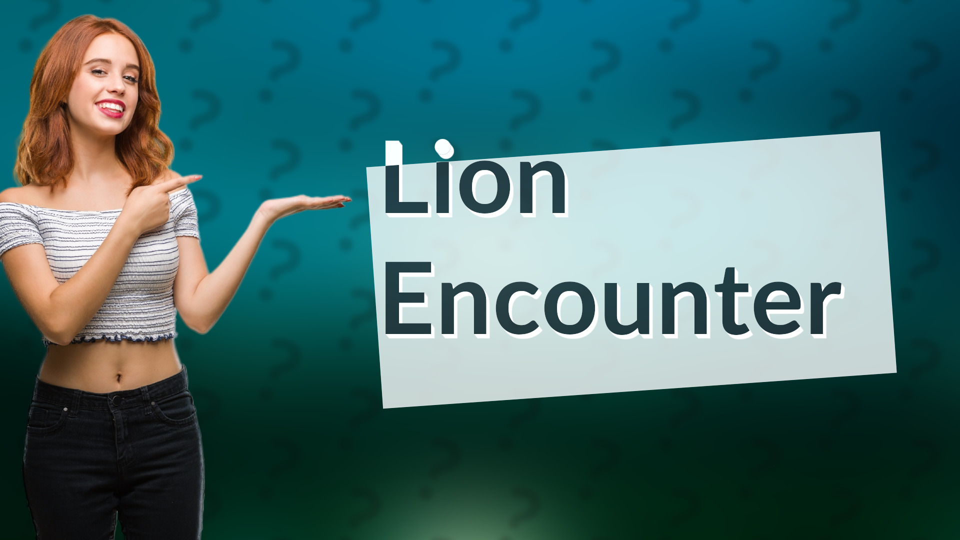 Lion Encounter