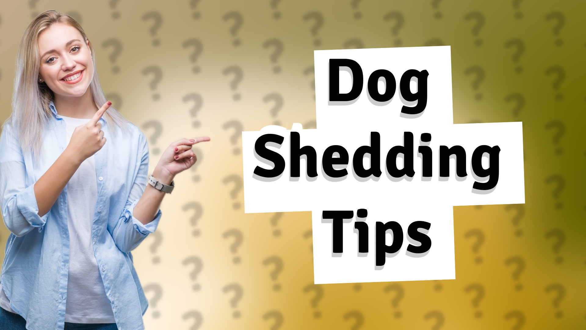Dog Shedding Tips