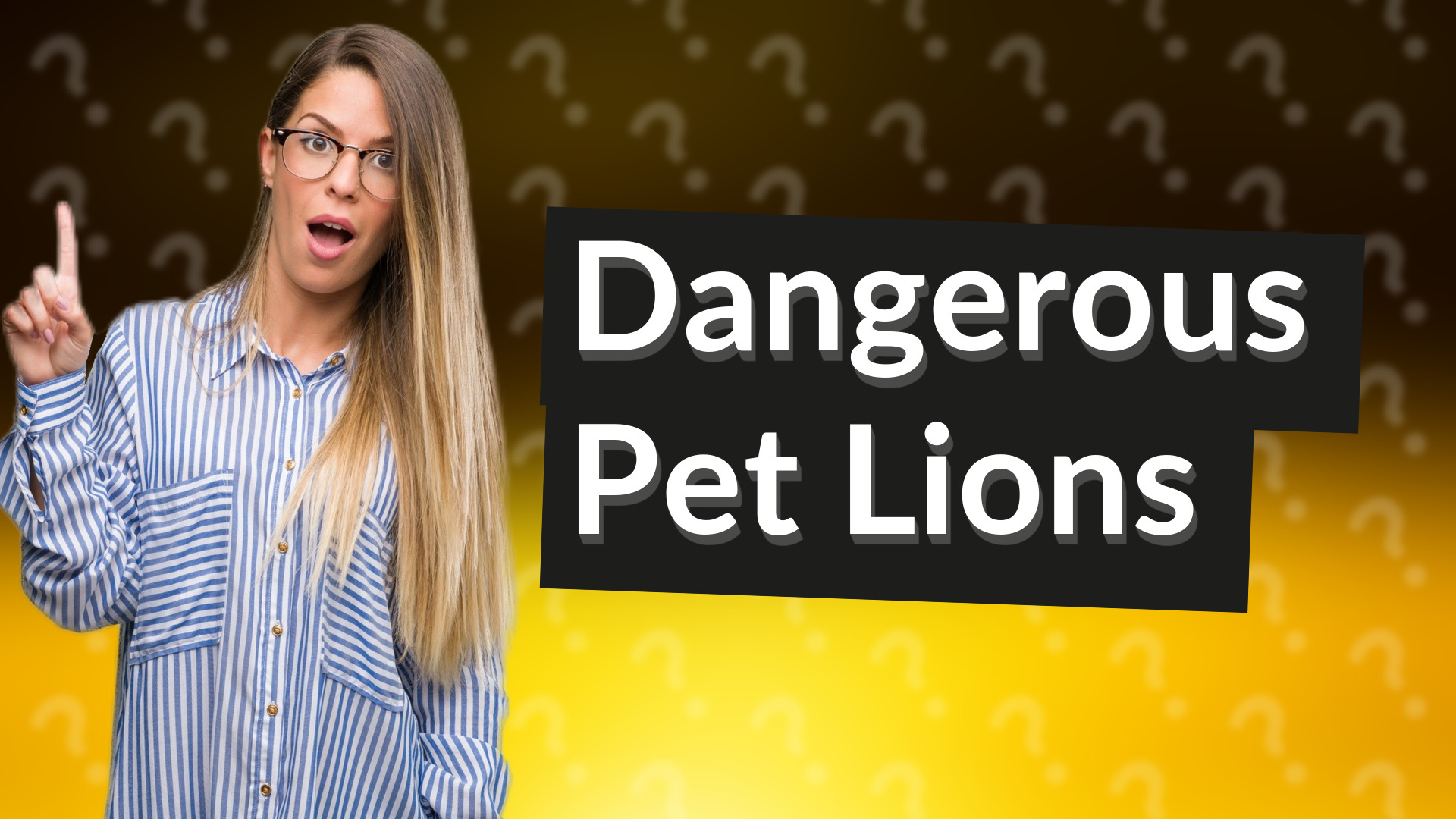 Dangerous Pet Lions