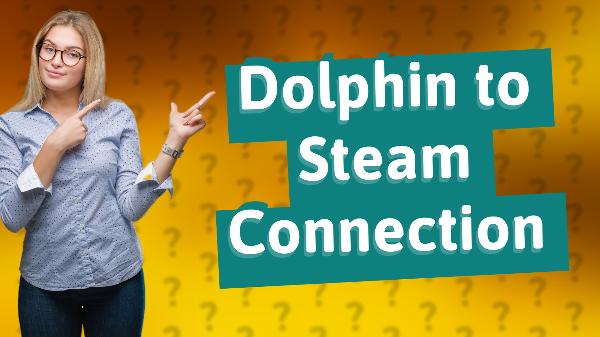Dolphin to Steam Connection