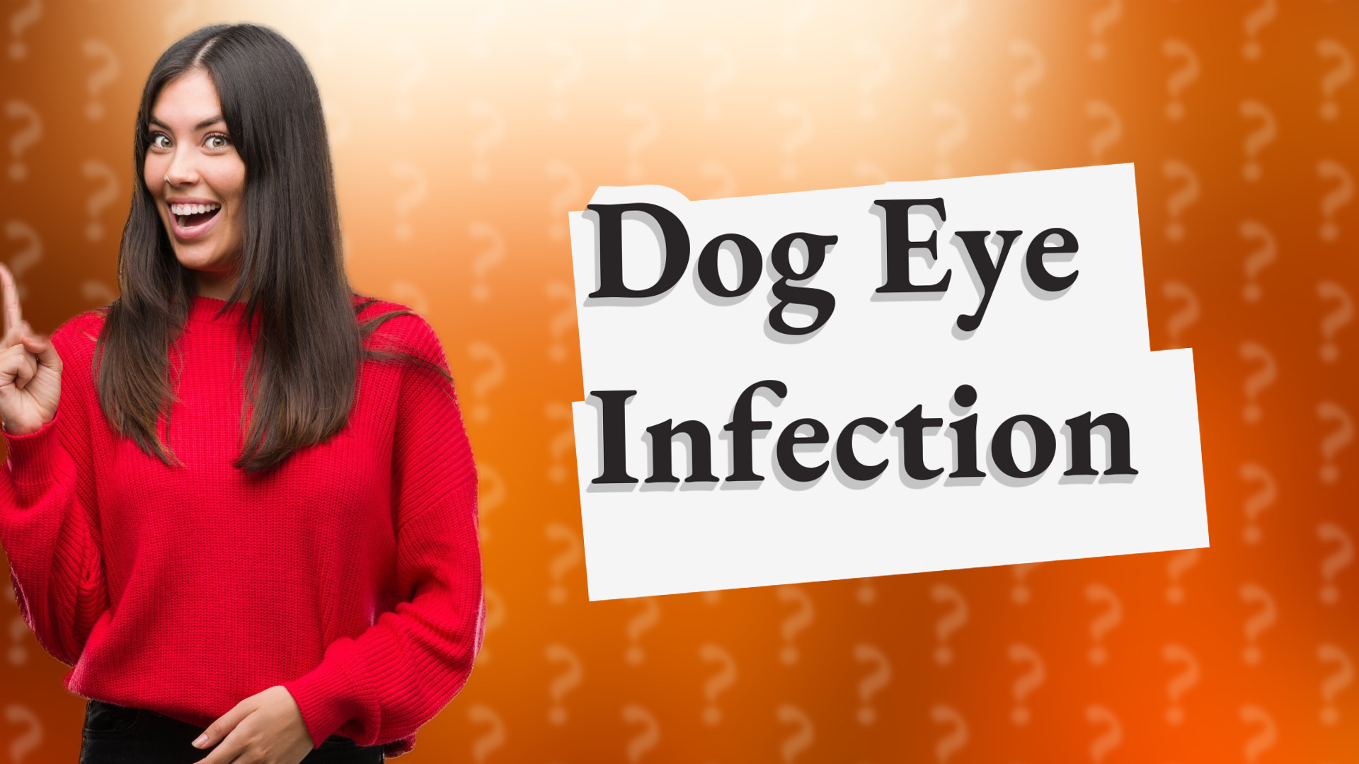 Dog Eye Infection