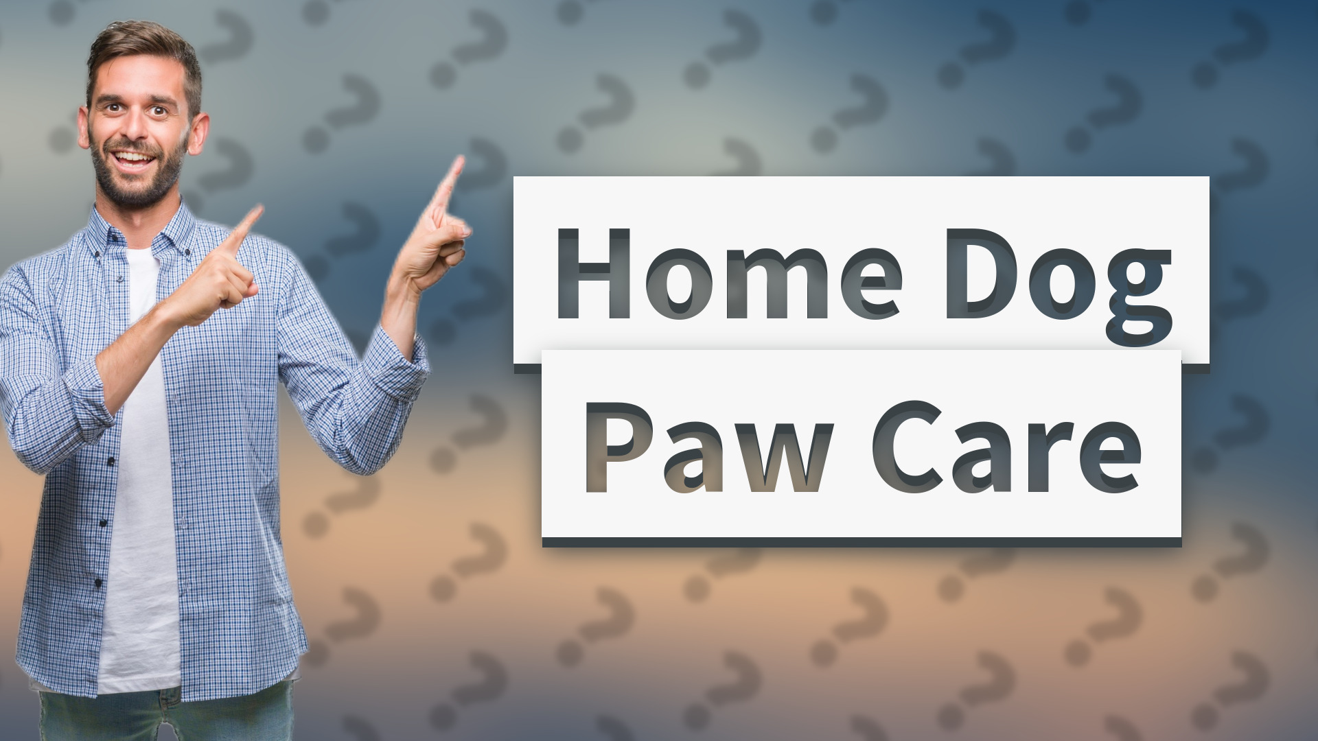 Home Dog Paw Care