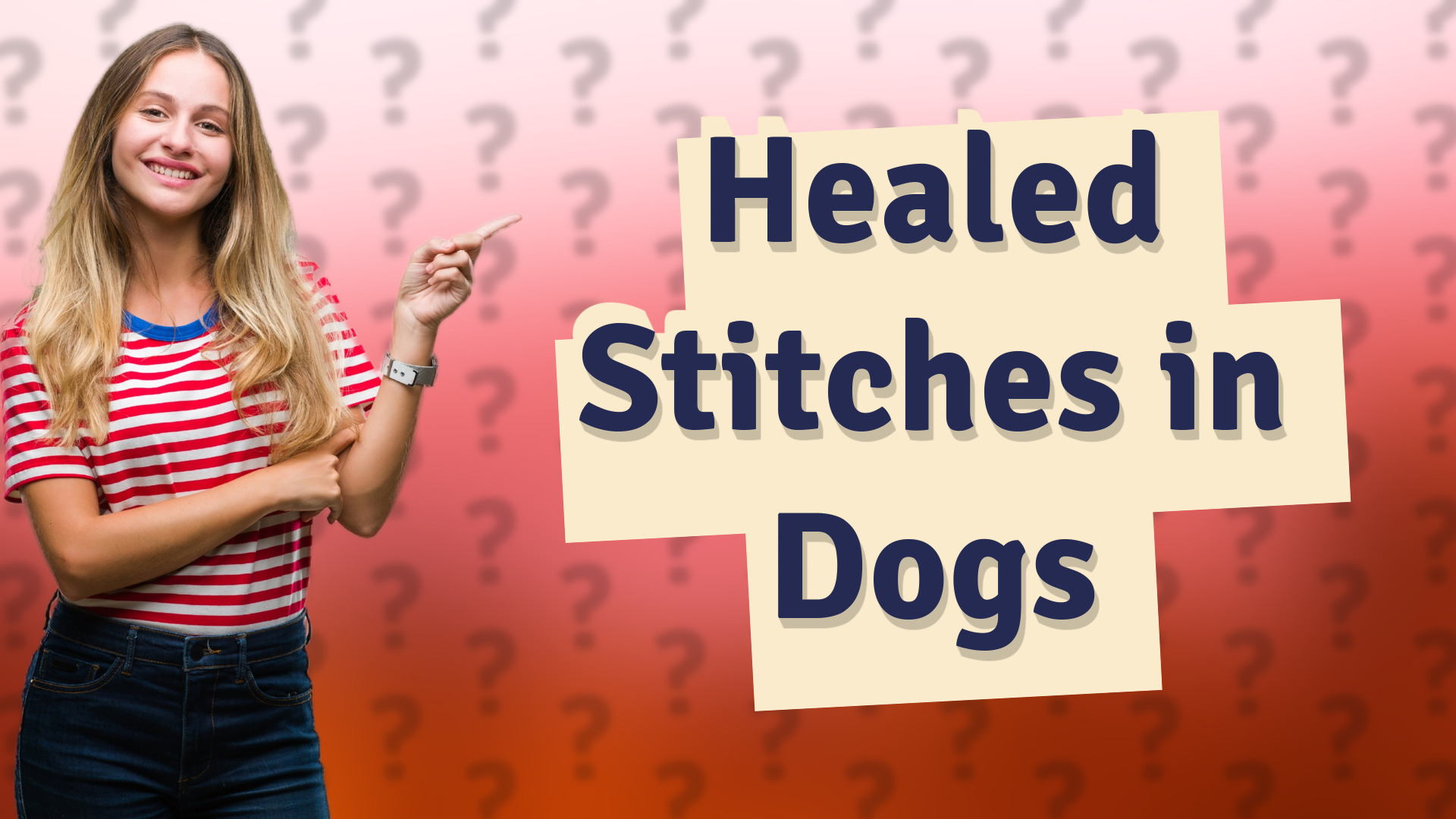 Healed Stitches in Dogs