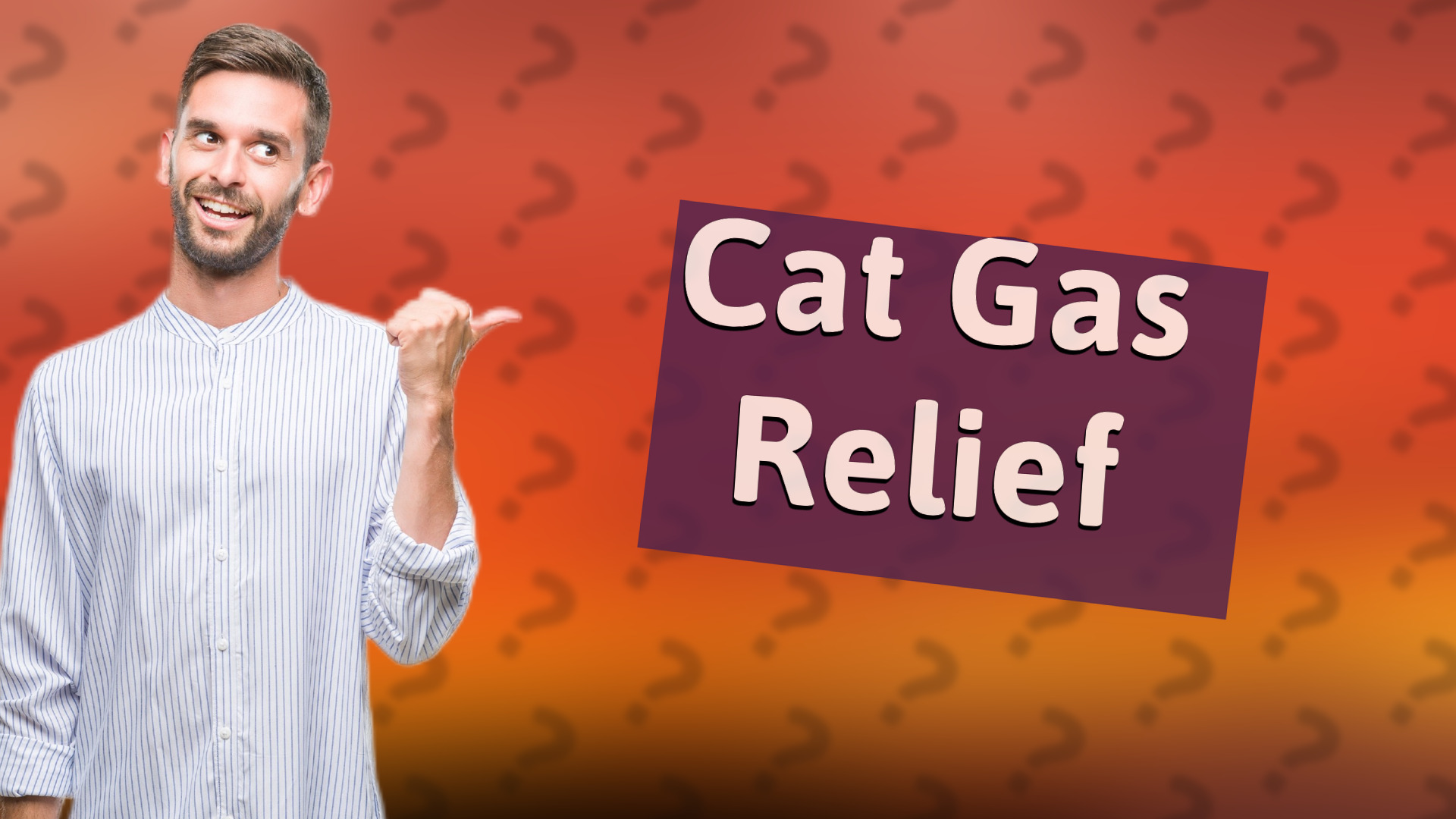 Cat Gas Relief