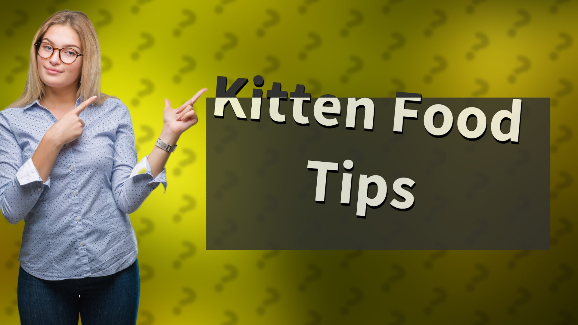 Kitten Food Tips