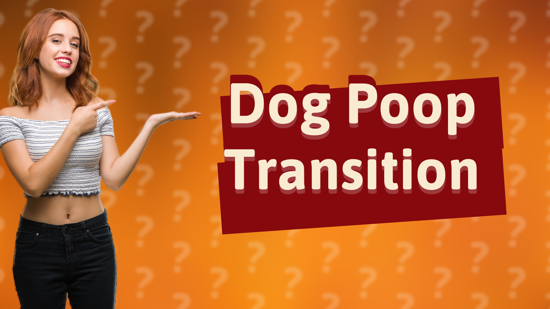Dog Poop Transition