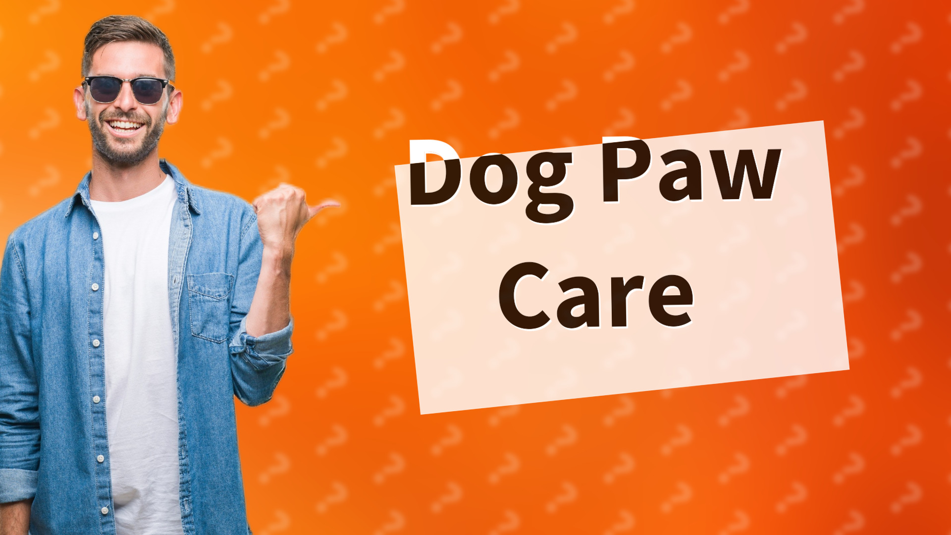 Dog Paw Care