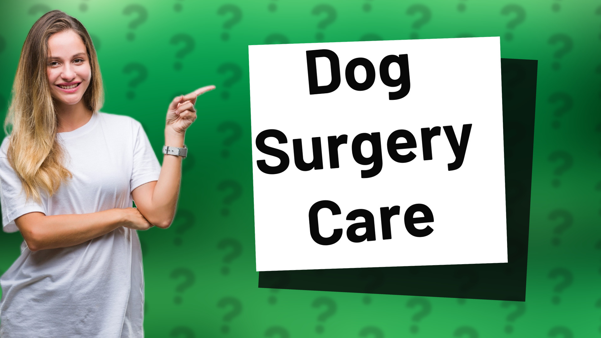 Dog Surgery Care