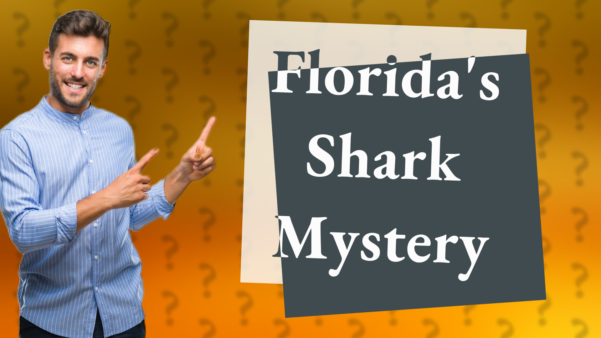 Florida's Shark Mystery