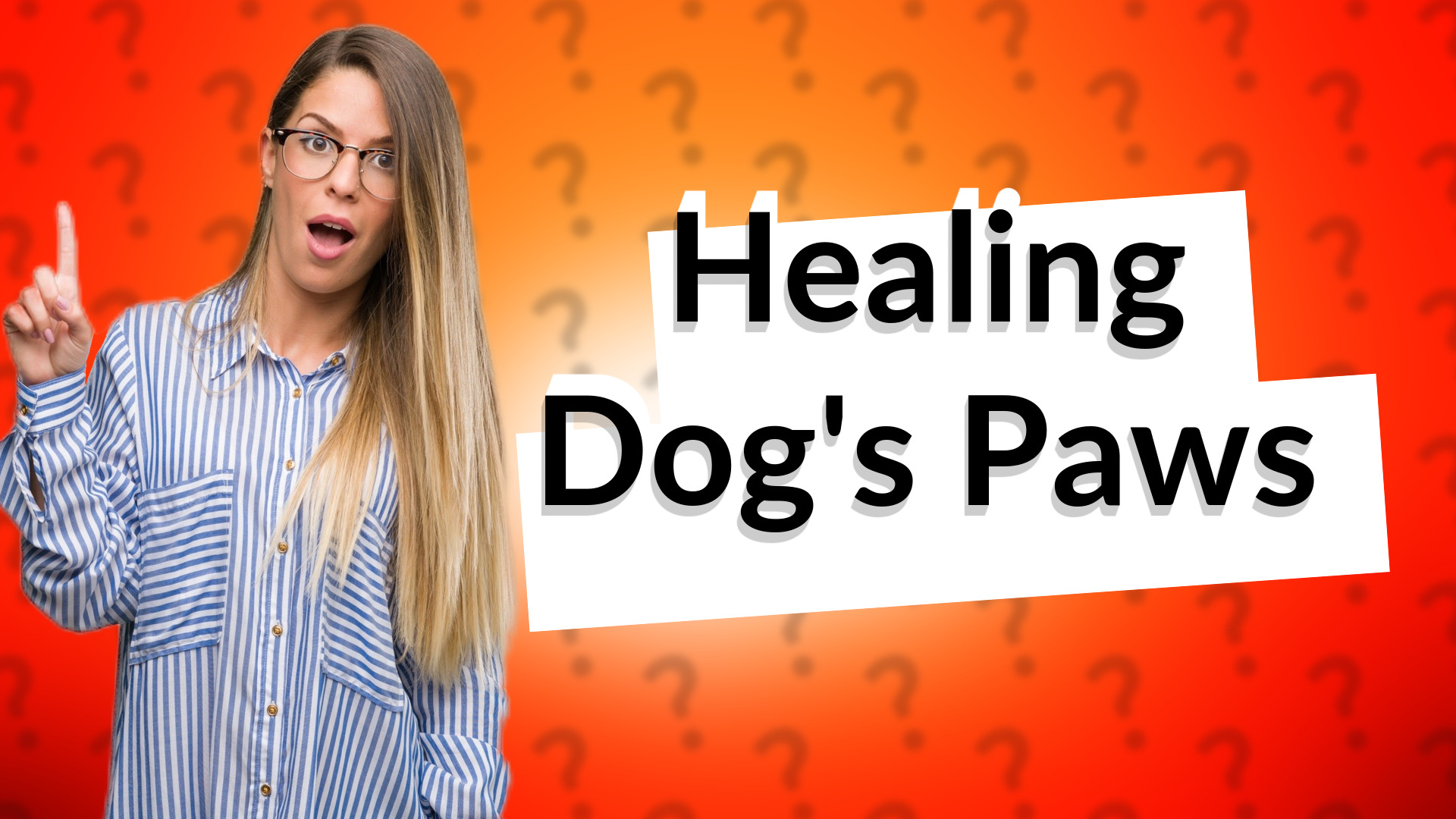 Healing Dog's Paws