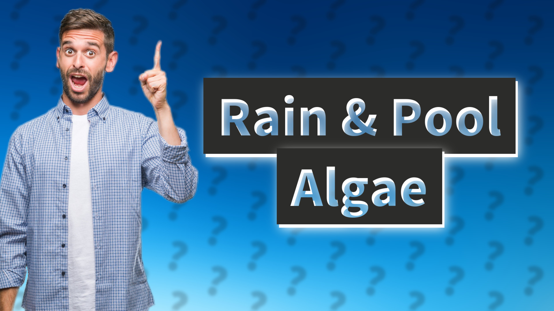 Rain & Pool Algae