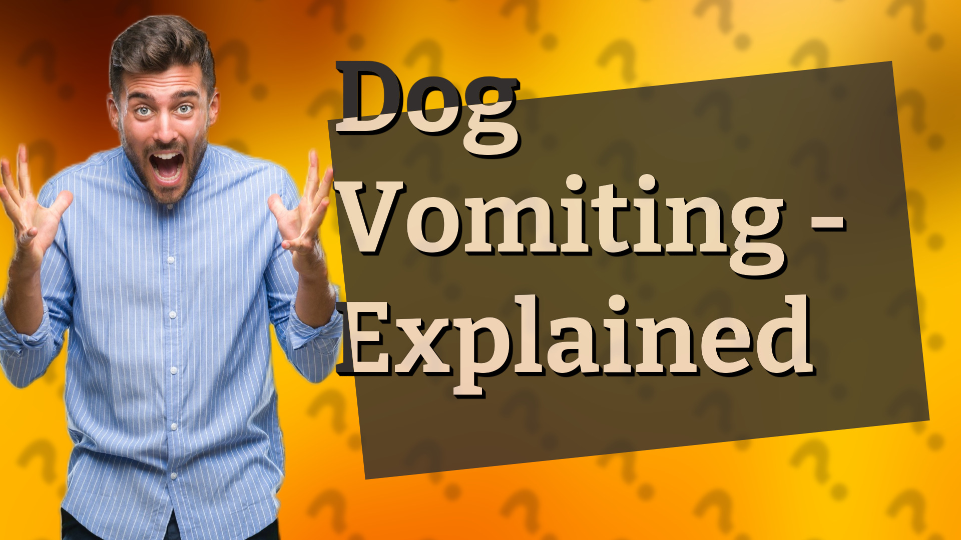 Dog Vomiting - Explained