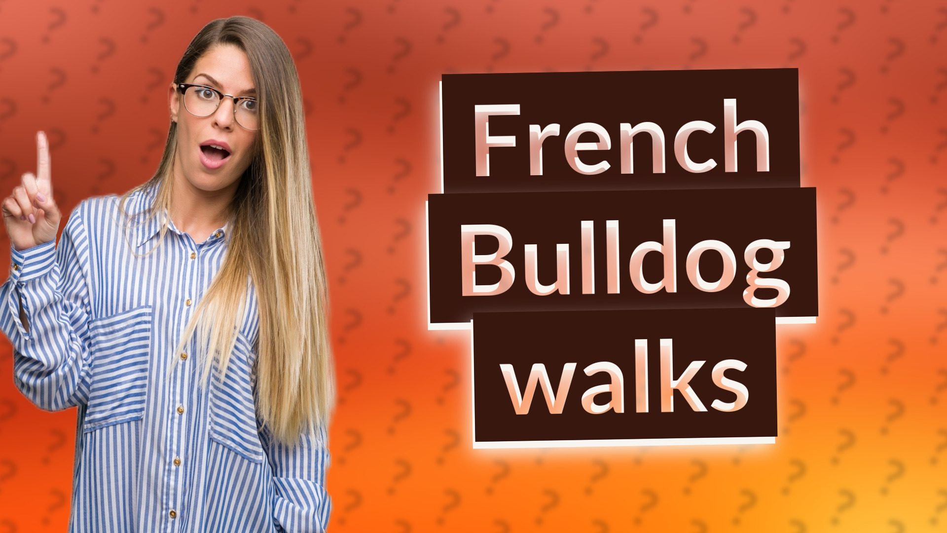 French Bulldog walks